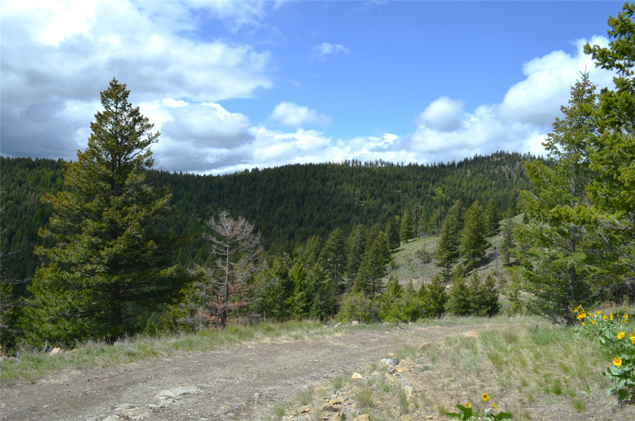 Nhn Bugler Trail Property Photo 23