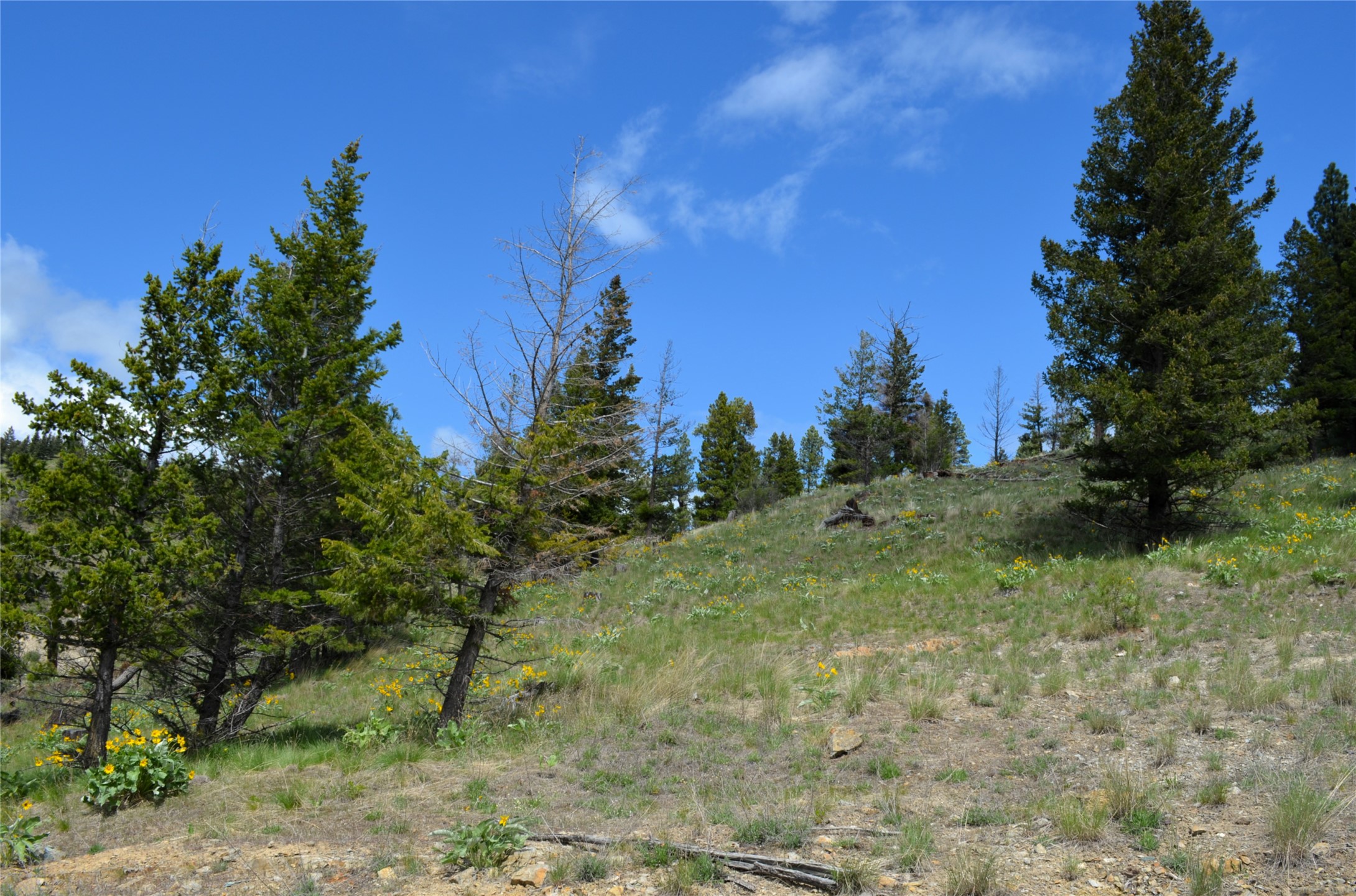 Nhn Bugler Trail Property Photo 24