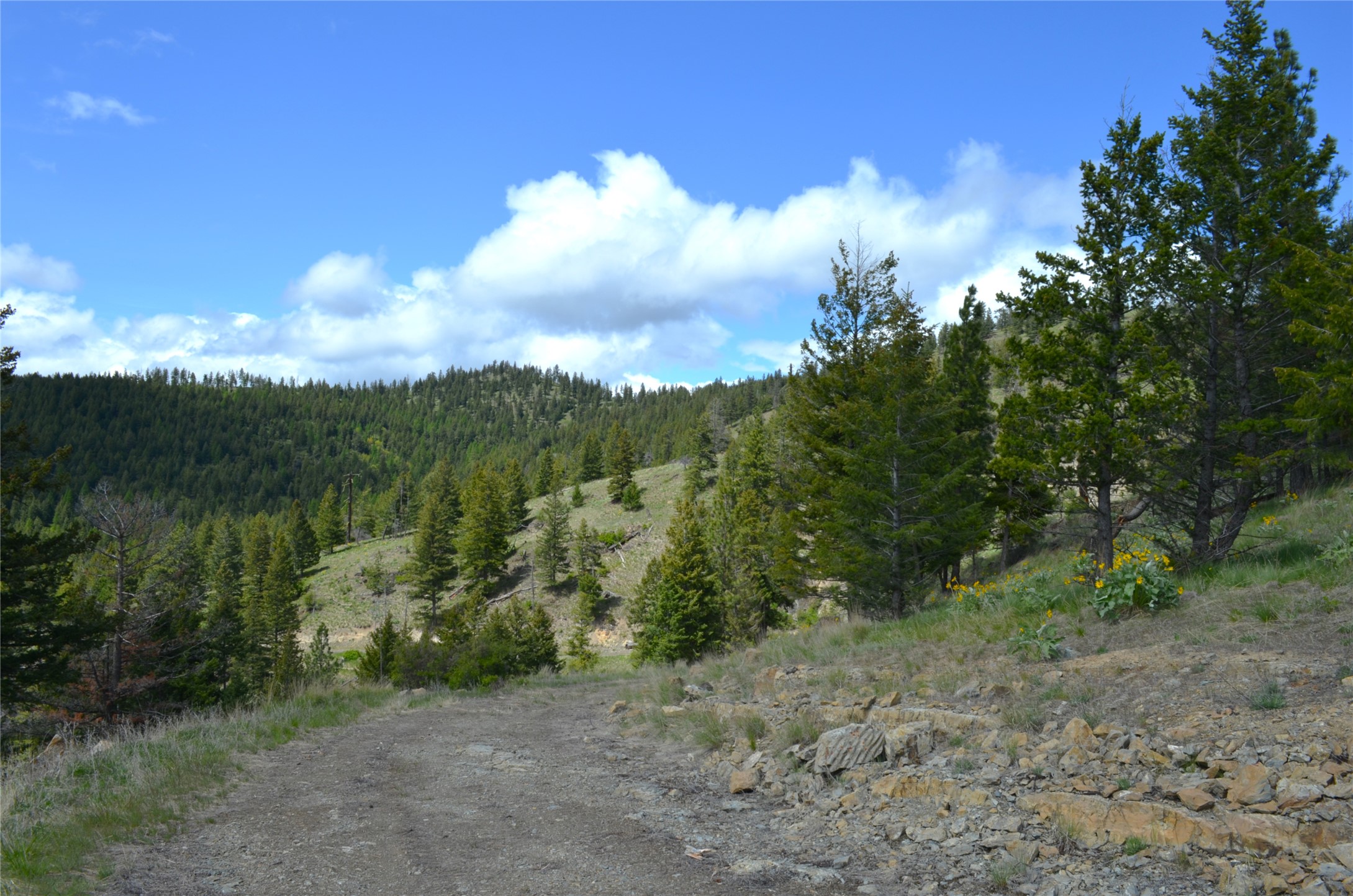 Nhn Bugler Trail Property Photo 25