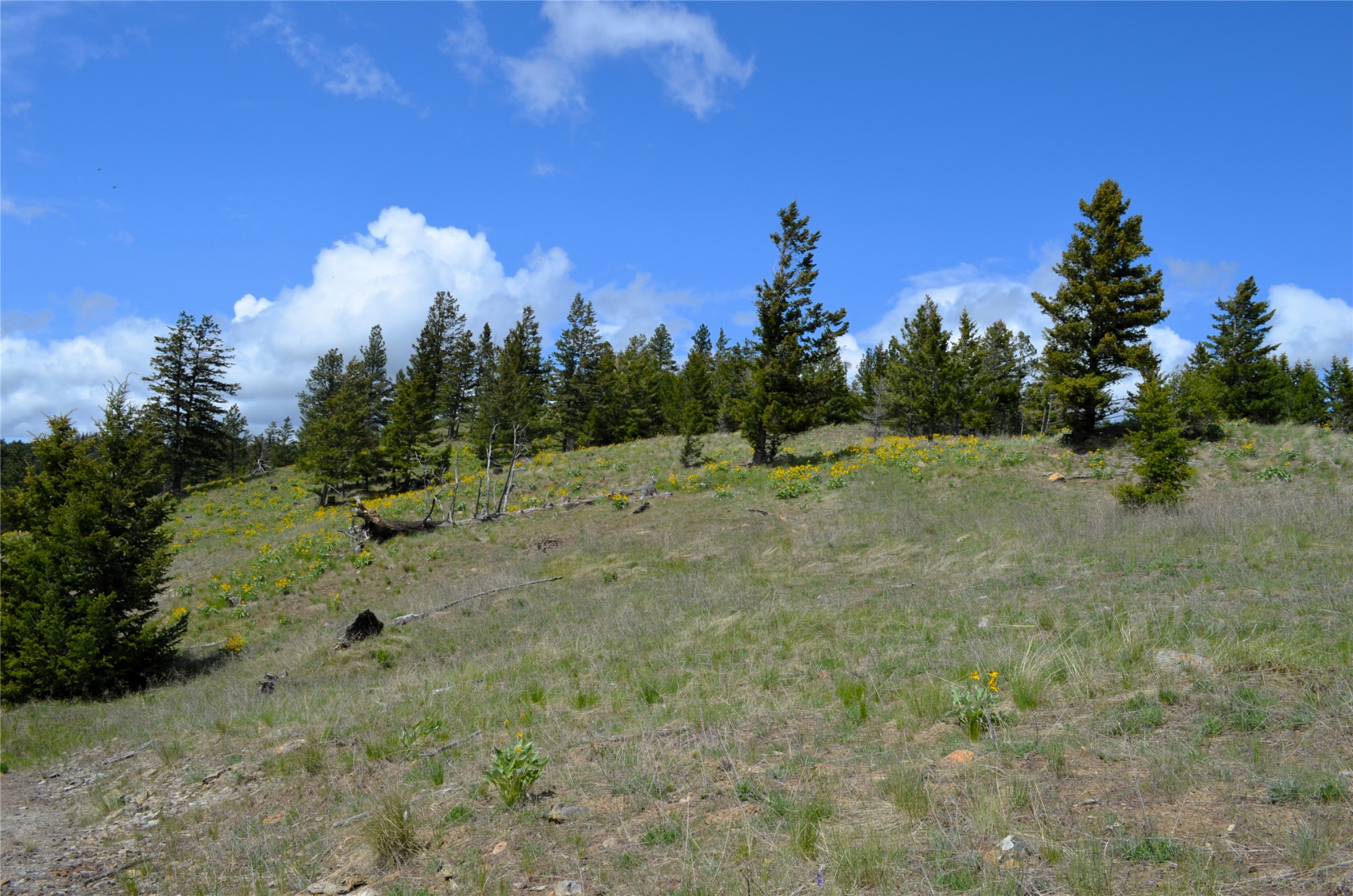 Nhn Bugler Trail Property Photo 26