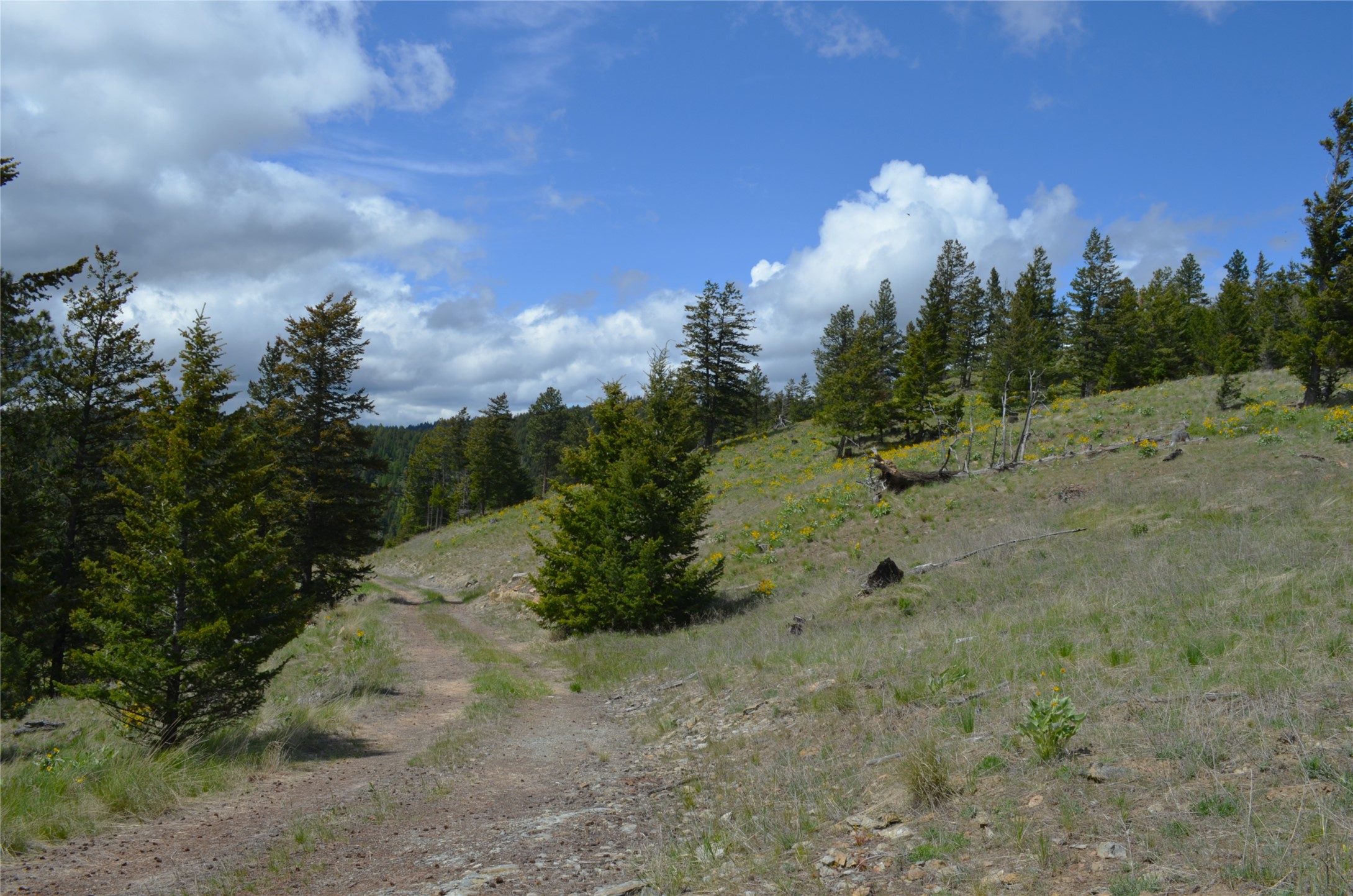 Nhn Bugler Trail Property Photo 27