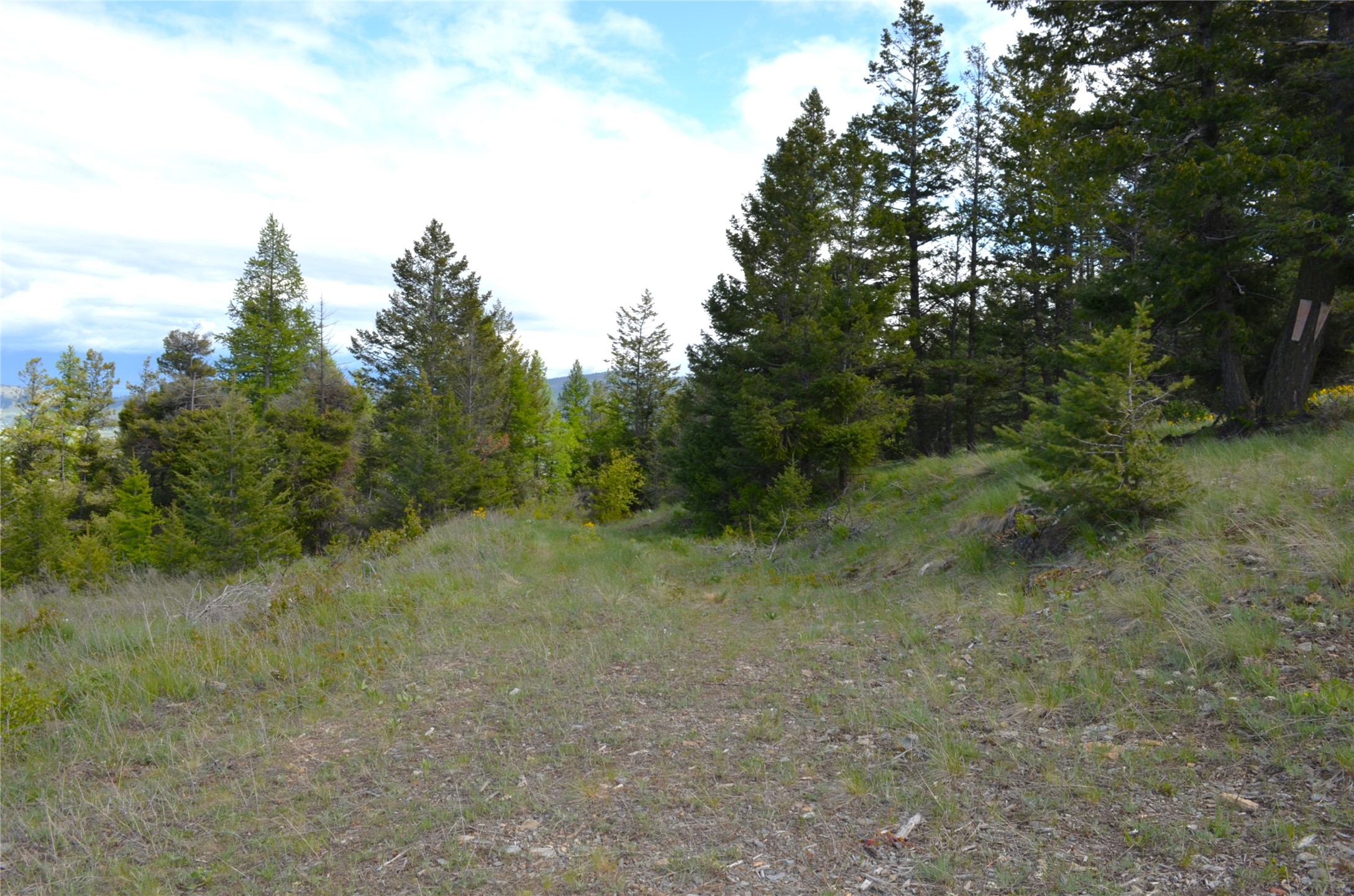 Nhn Bugler Trail Property Photo 28