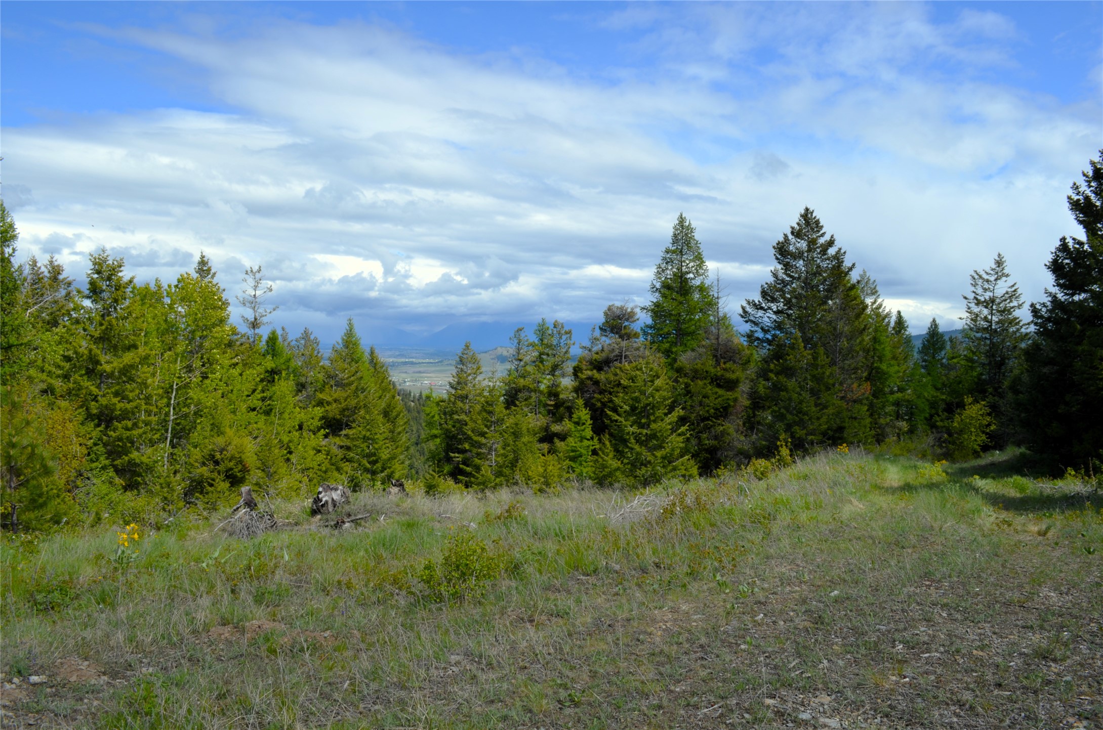 Nhn Bugler Trail Property Photo 29