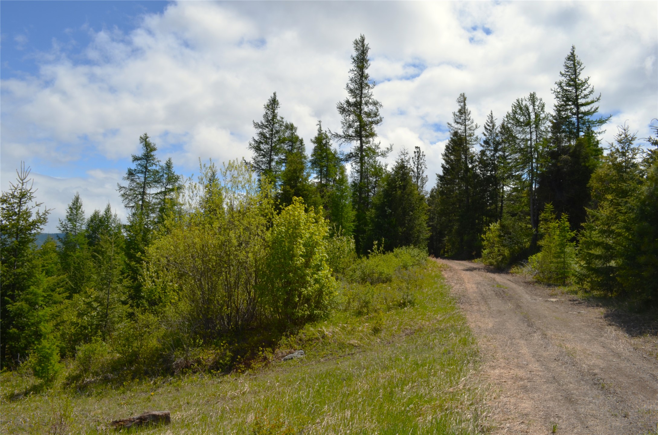 Nhn Bugler Trail Property Photo 30