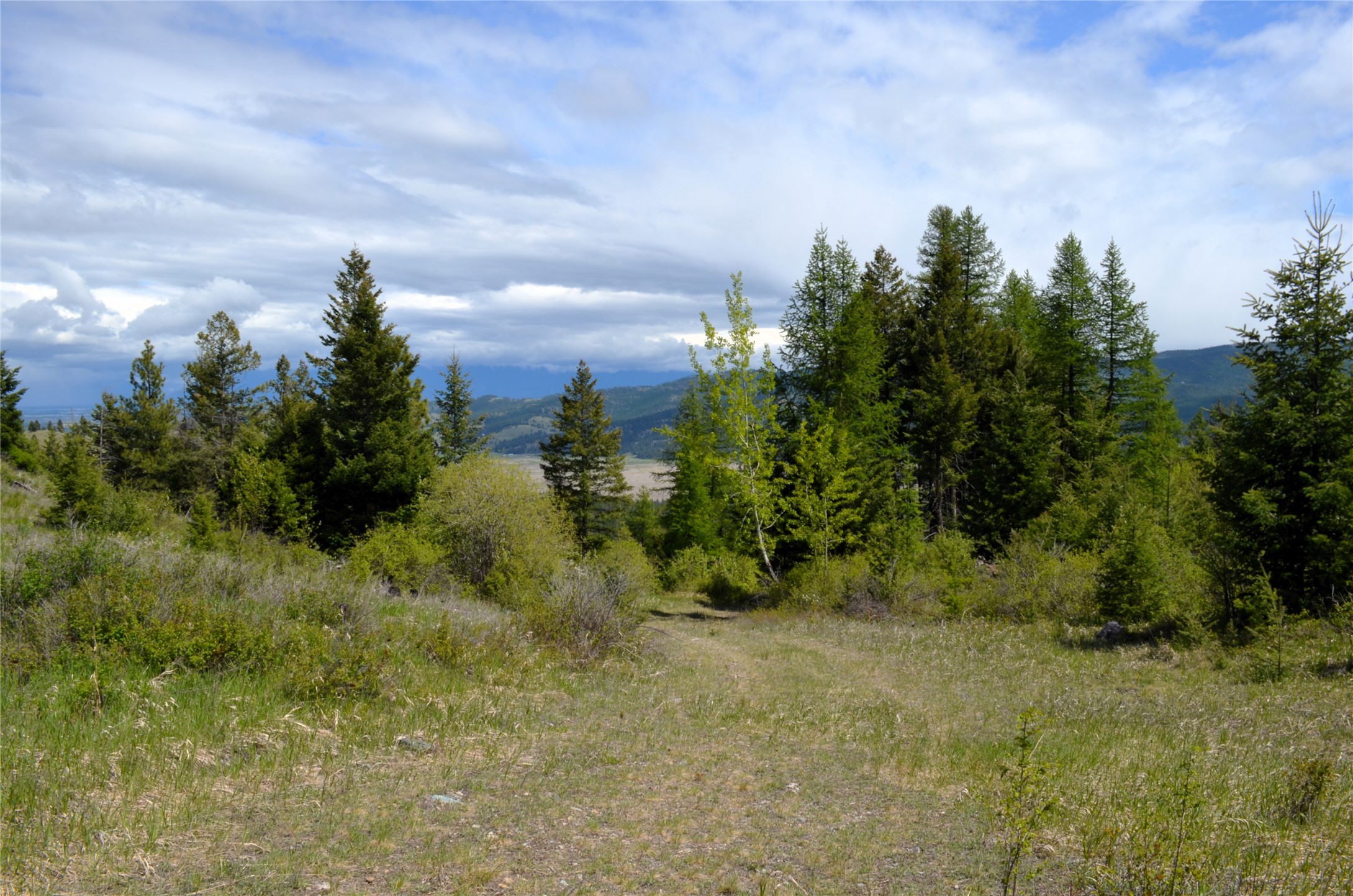 Nhn Bugler Trail Property Photo 31