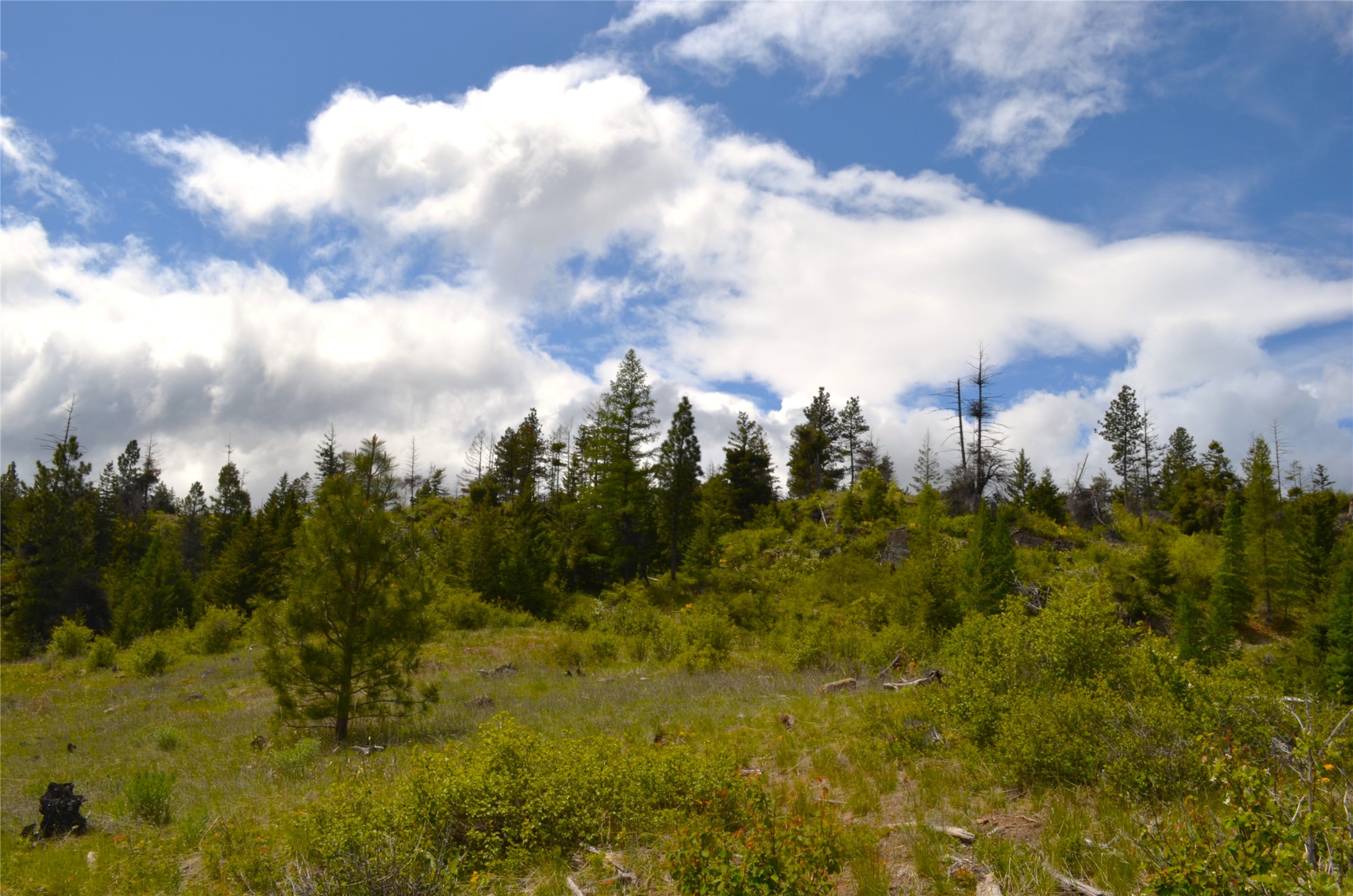 Nhn Bugler Trail Property Photo 32