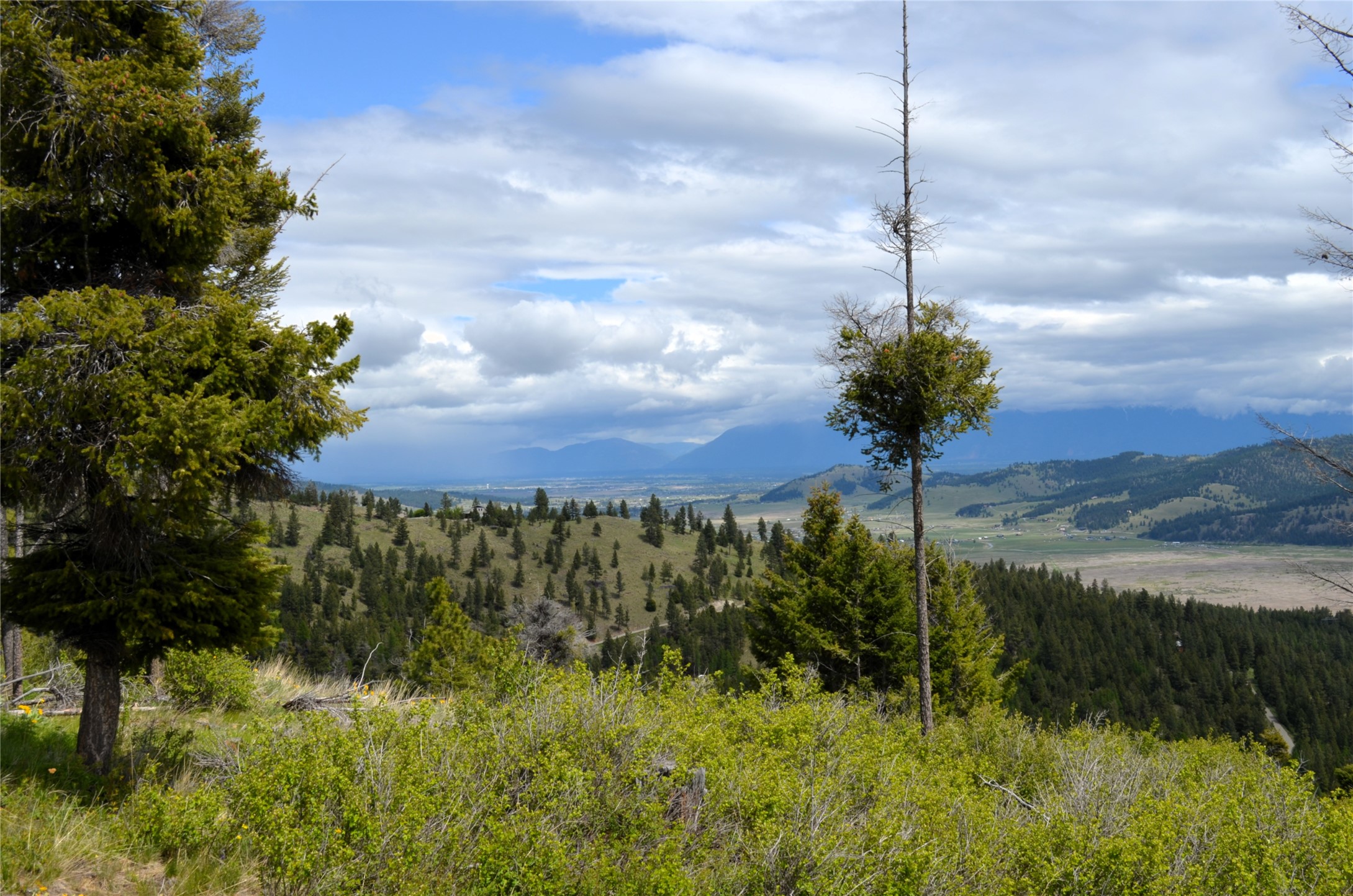 Nhn Bugler Trail Property Photo 33