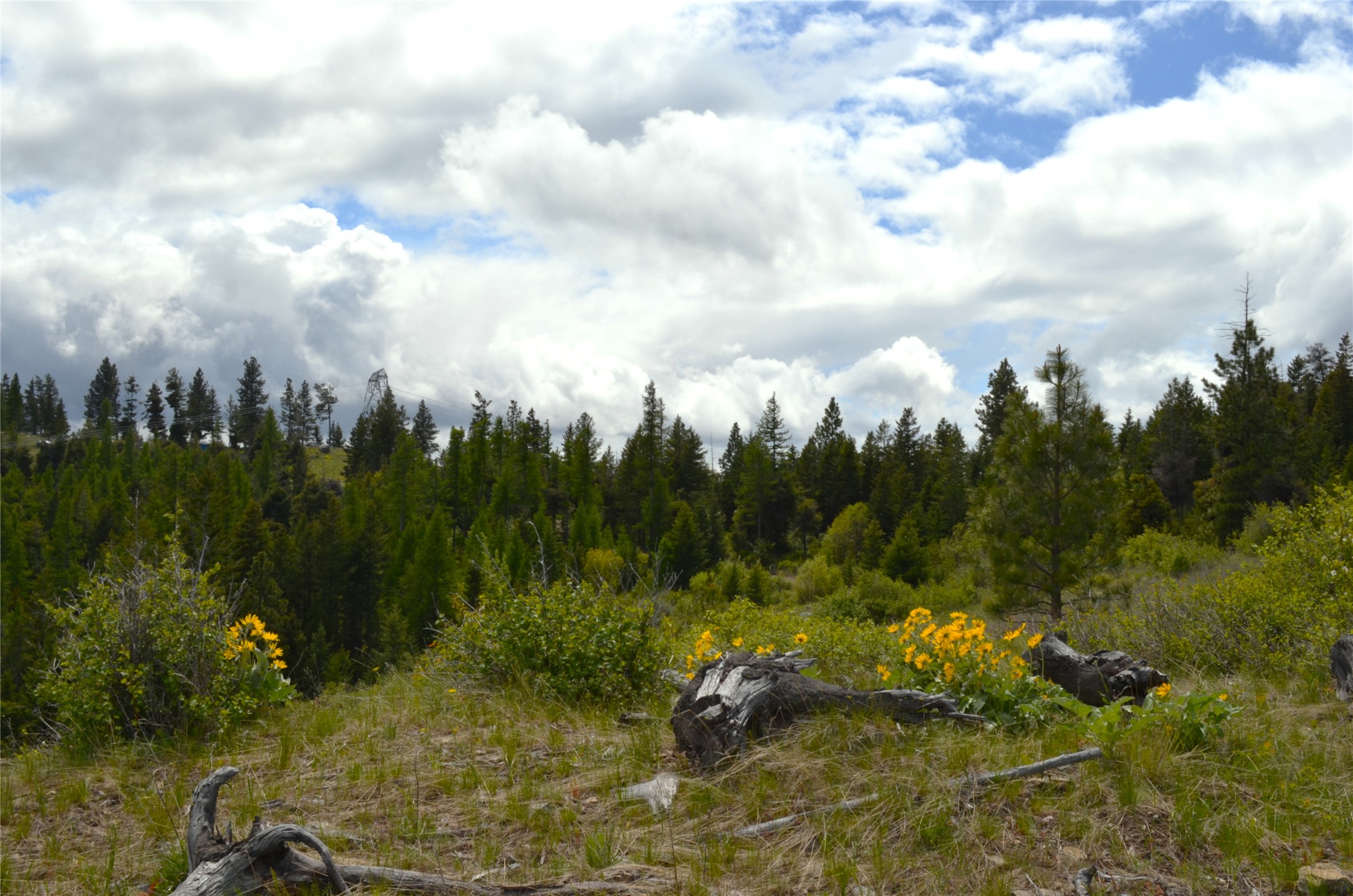 Nhn Bugler Trail Property Photo 34