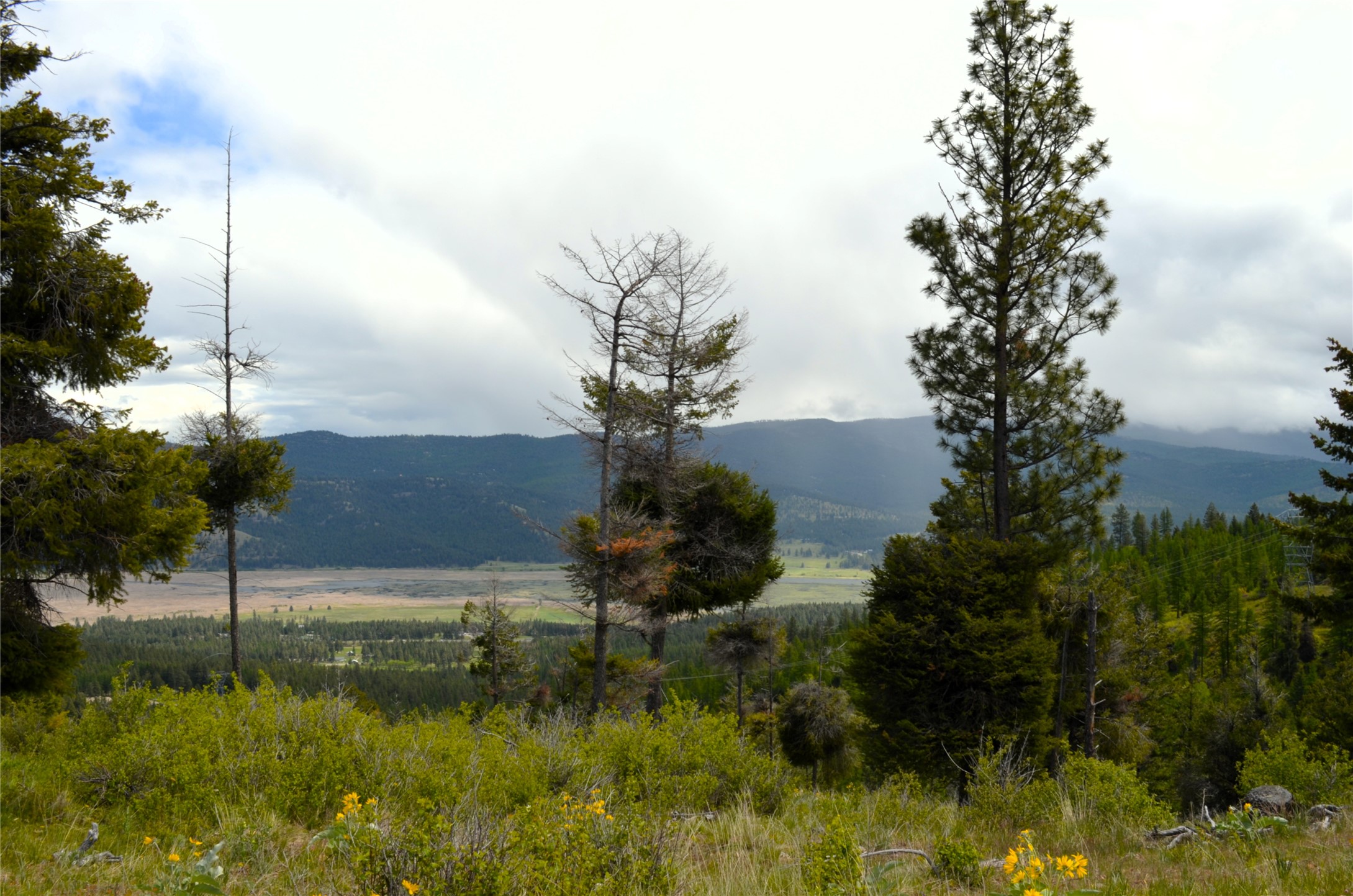 Nhn Bugler Trail Property Photo 35