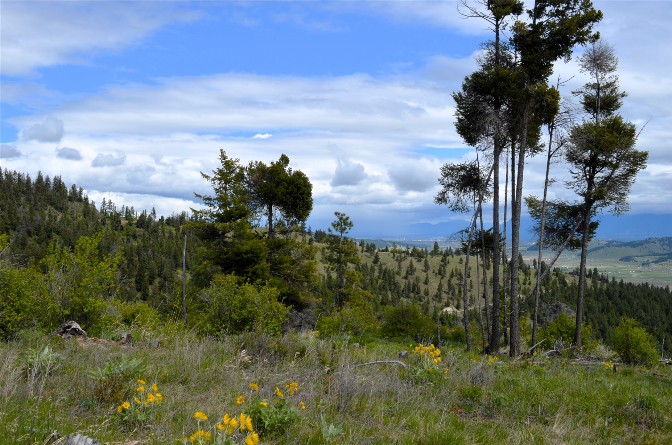 Nhn Bugler Trail Property Photo 36