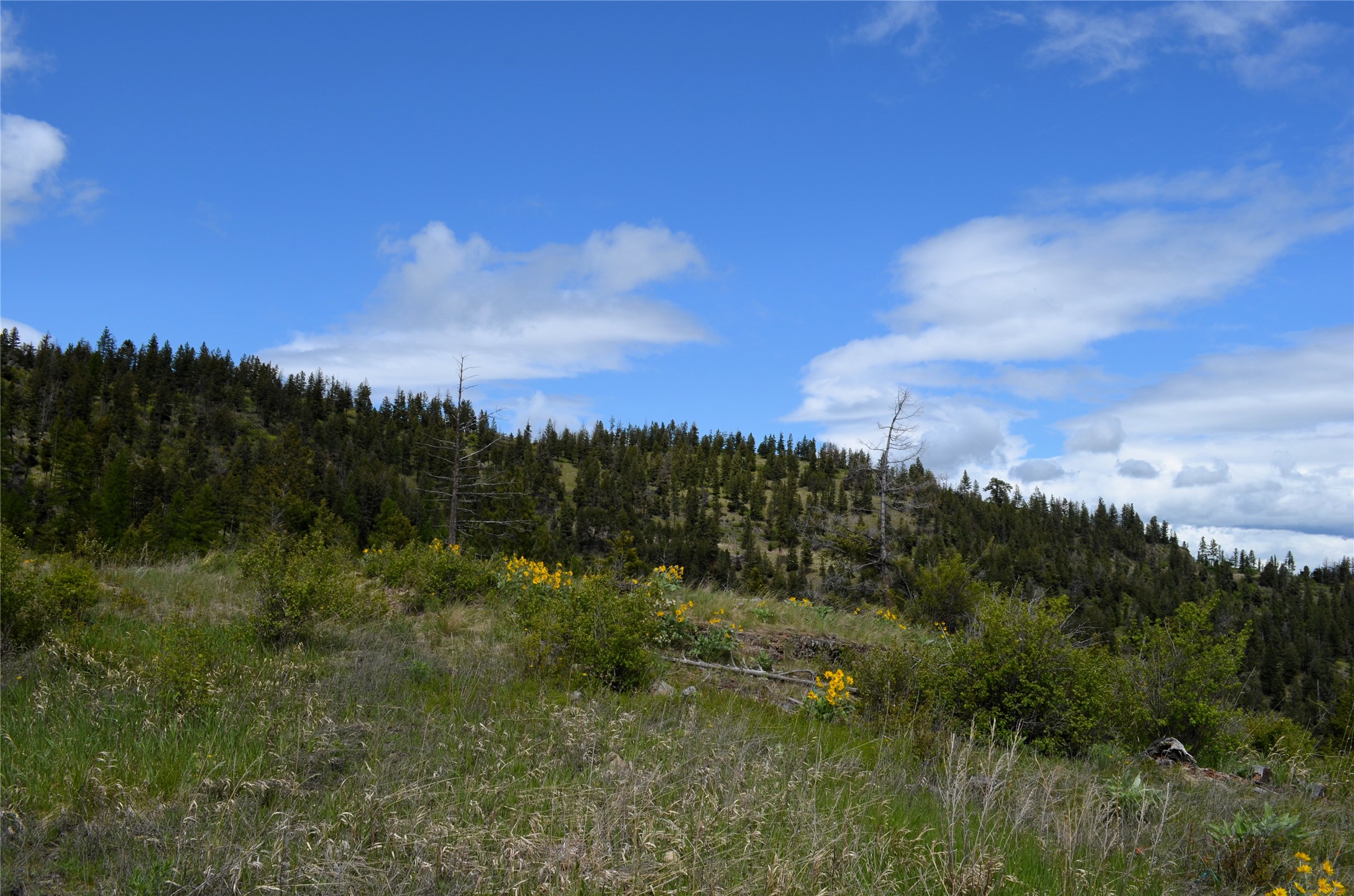 Nhn Bugler Trail Property Photo 37