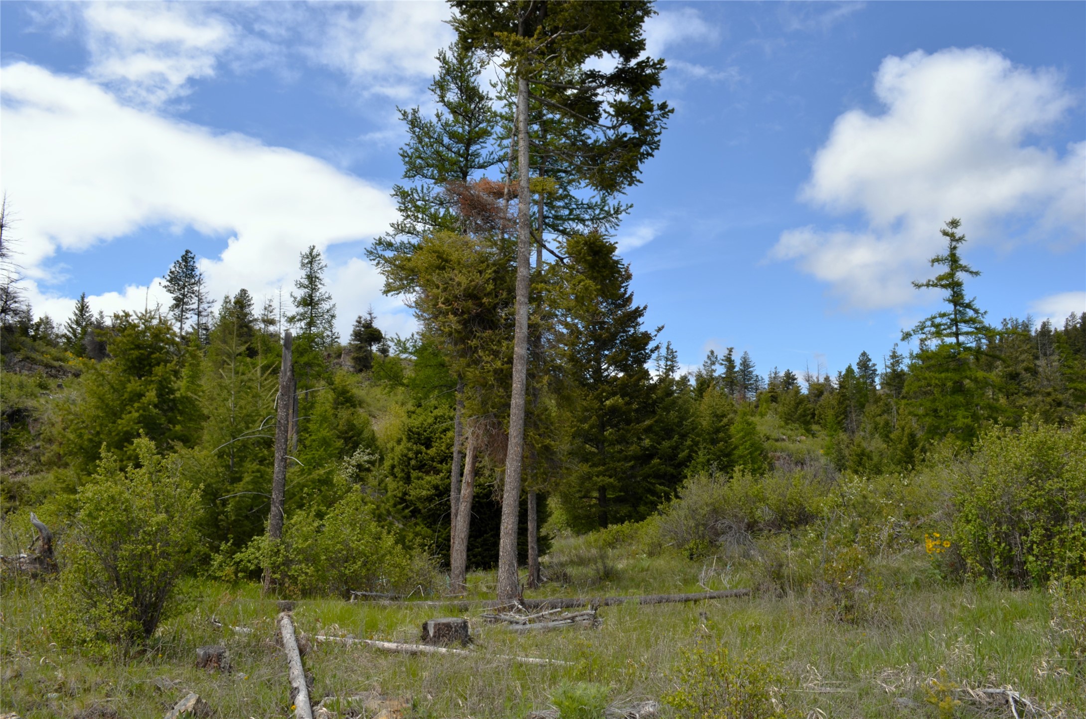 Nhn Bugler Trail Property Photo 38