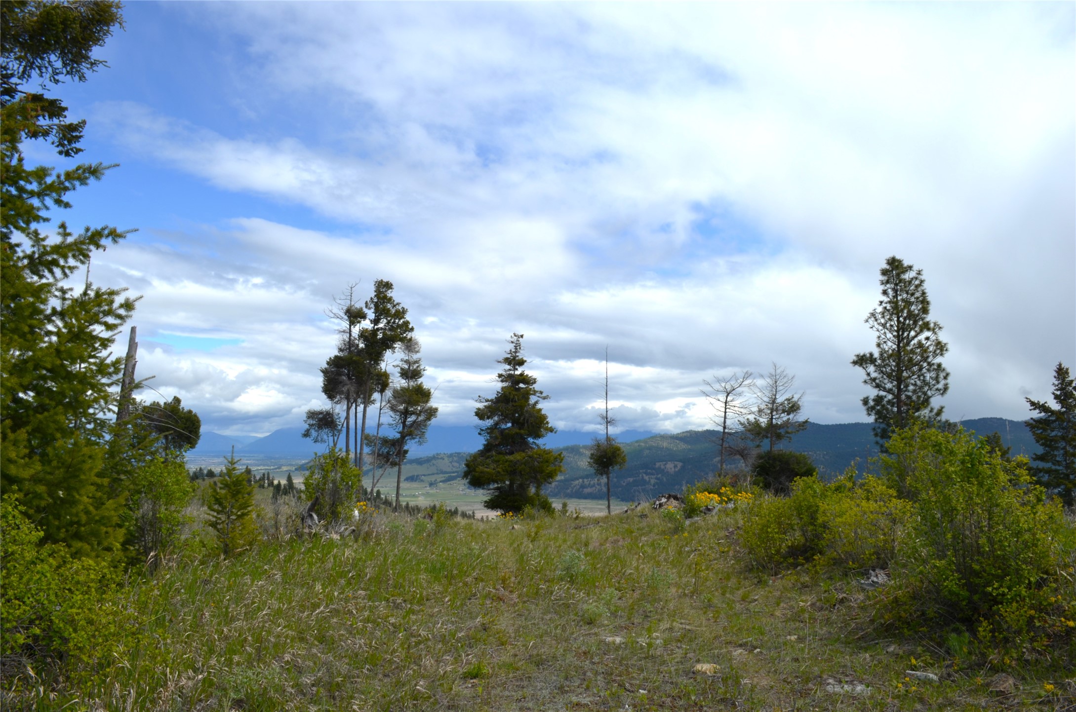Nhn Bugler Trail Property Photo 39