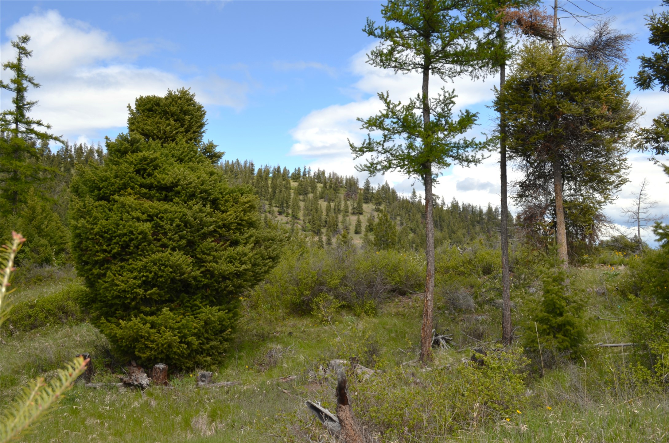 Nhn Bugler Trail Property Photo 40