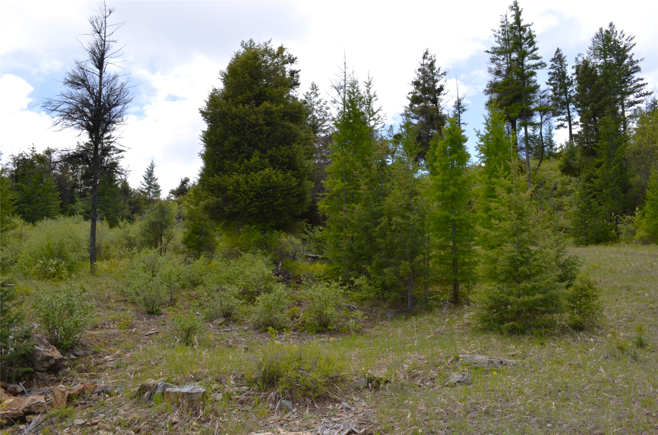 Nhn Bugler Trail Property Photo 41