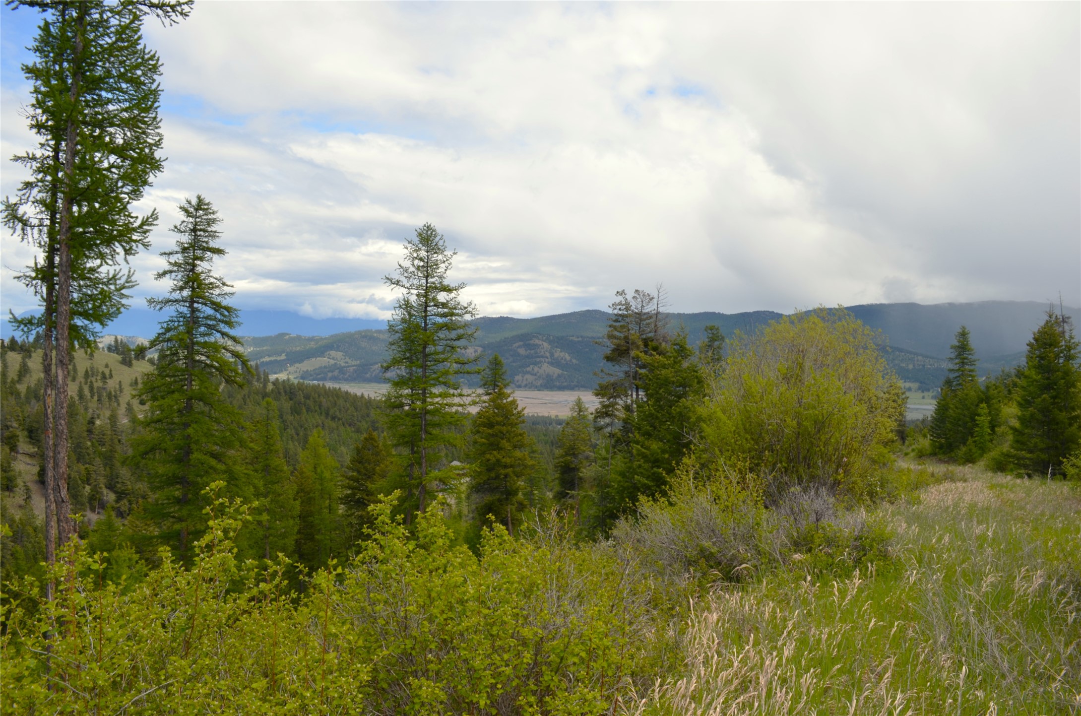 Nhn Bugler Trail Property Photo 42