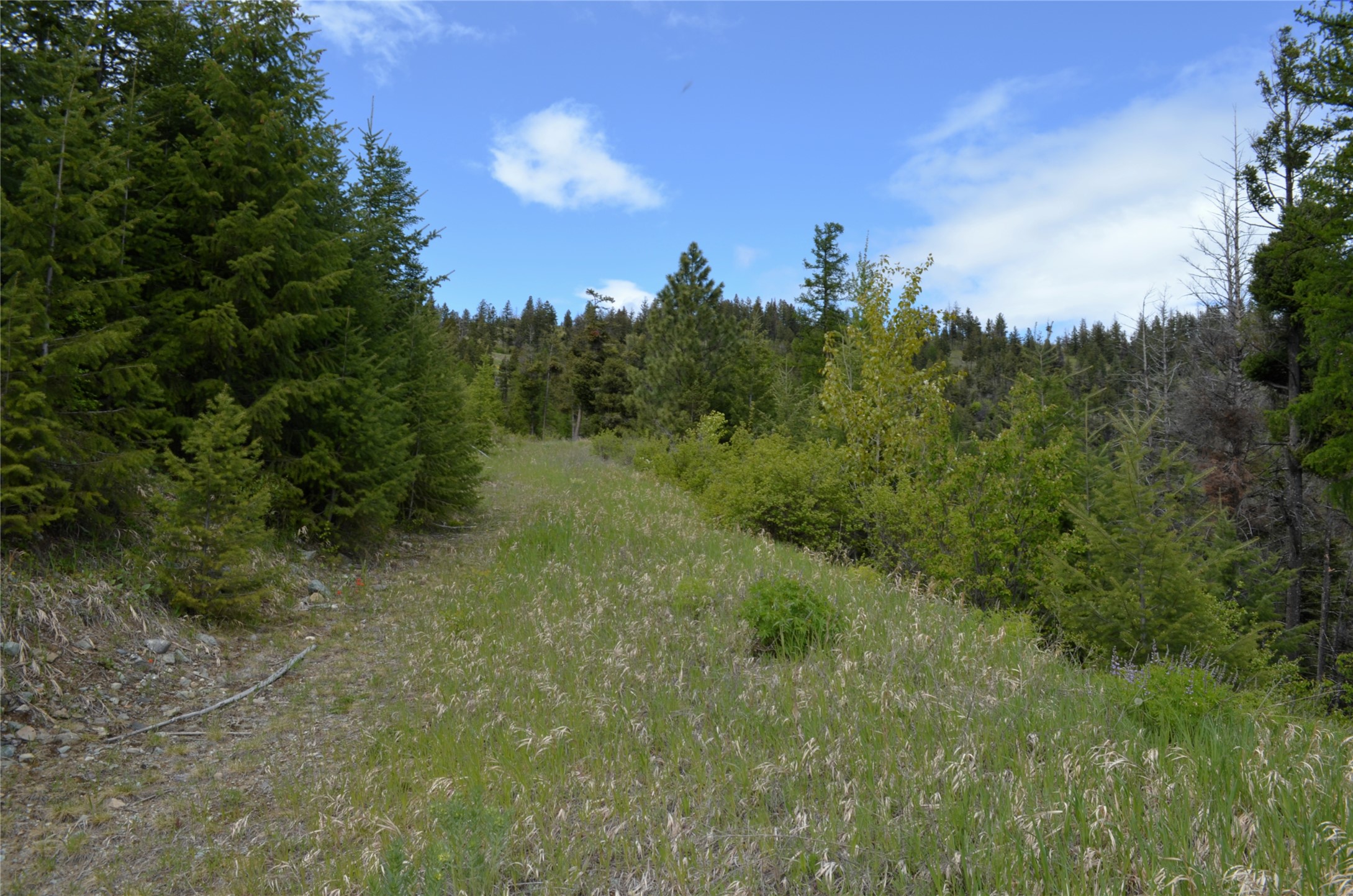 Nhn Bugler Trail Property Photo 44