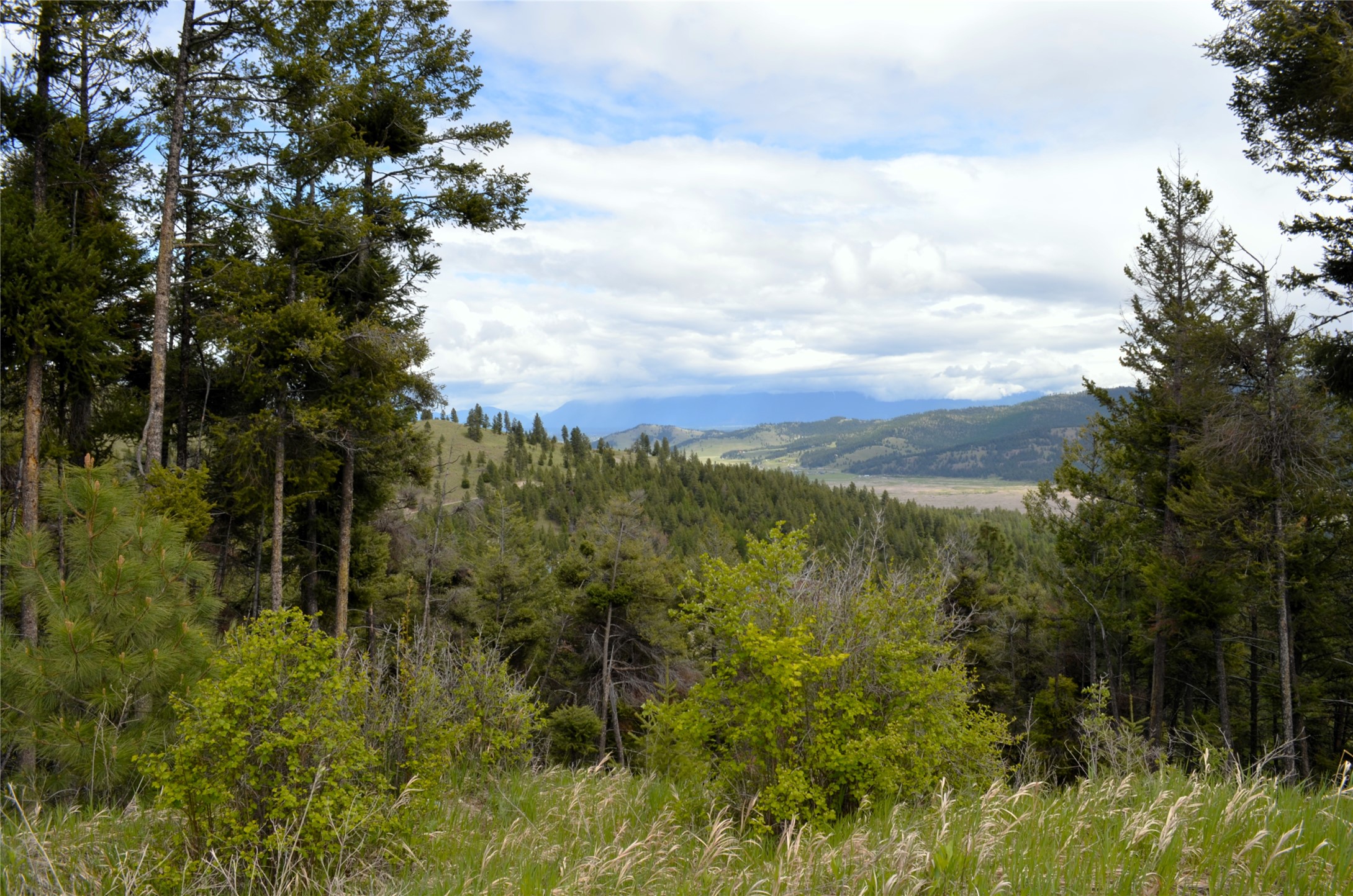 Nhn Bugler Trail Property Photo 45
