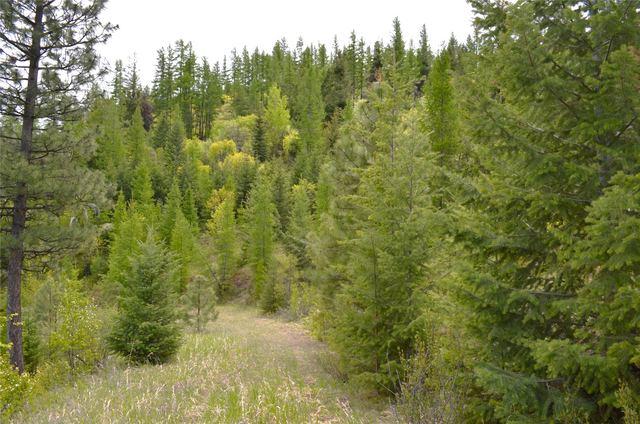 Nhn Bugler Trail Property Photo 46