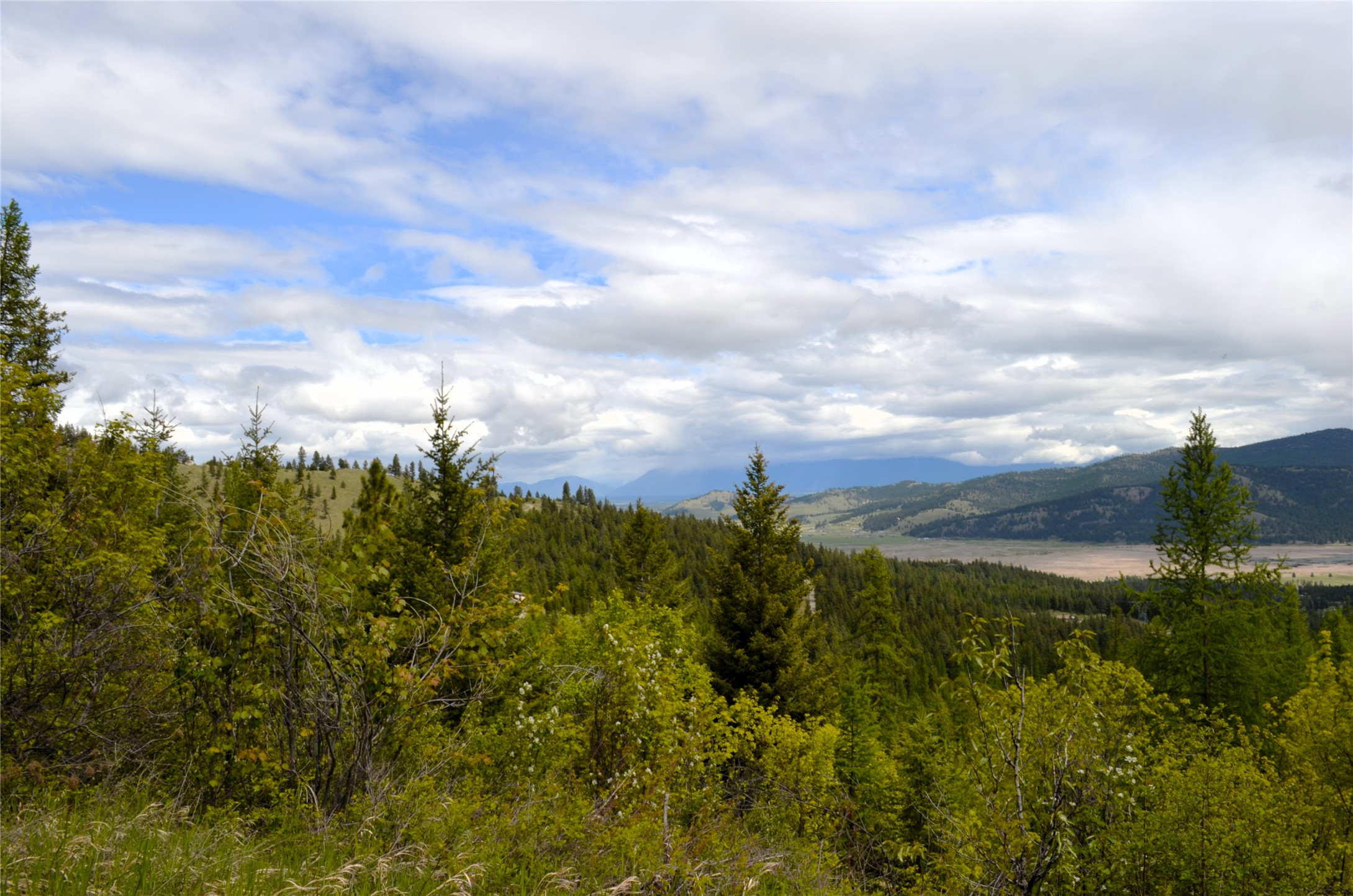 Nhn Bugler Trail Property Photo 47