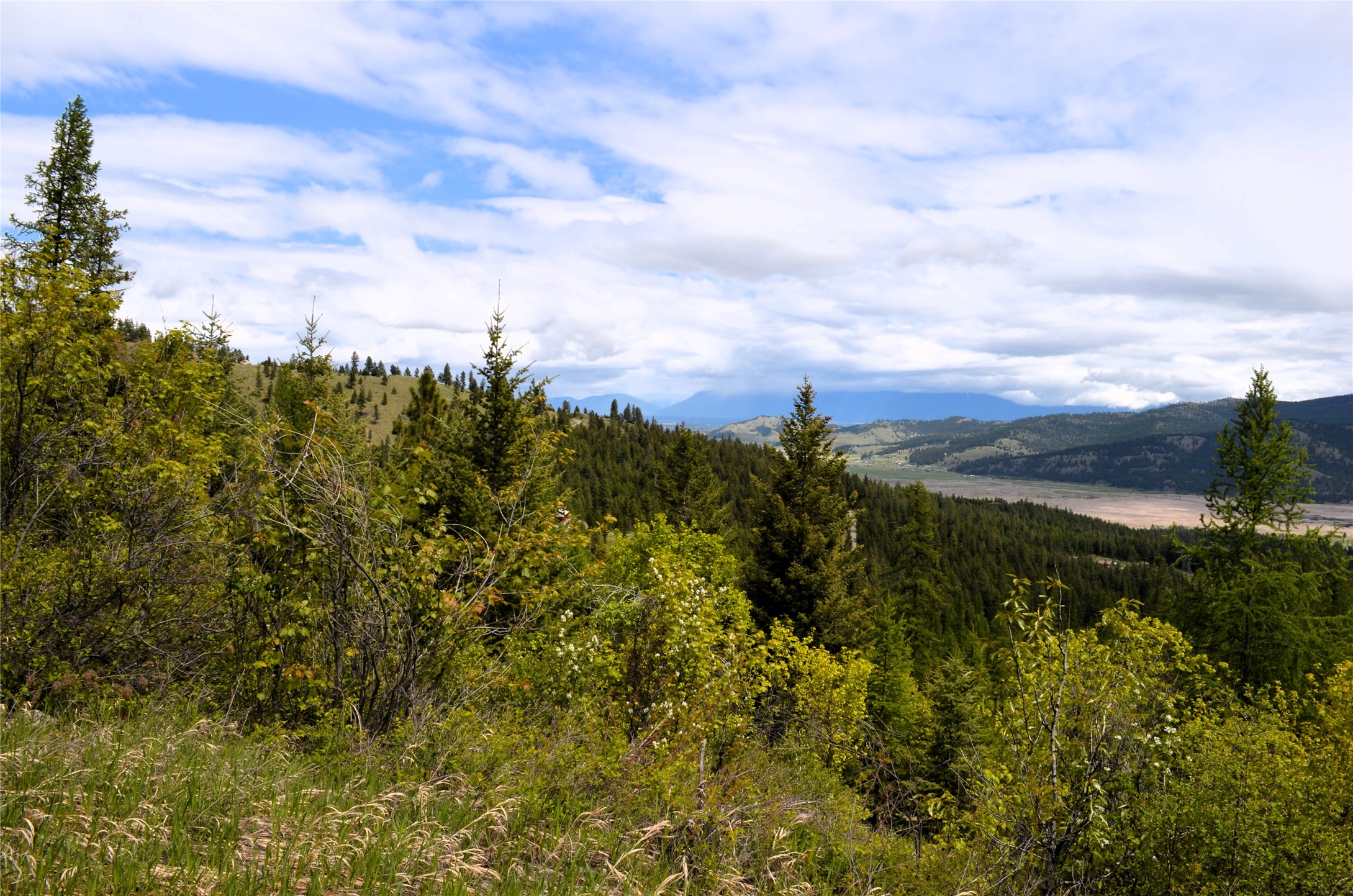 Nhn Bugler Trail Property Photo 48