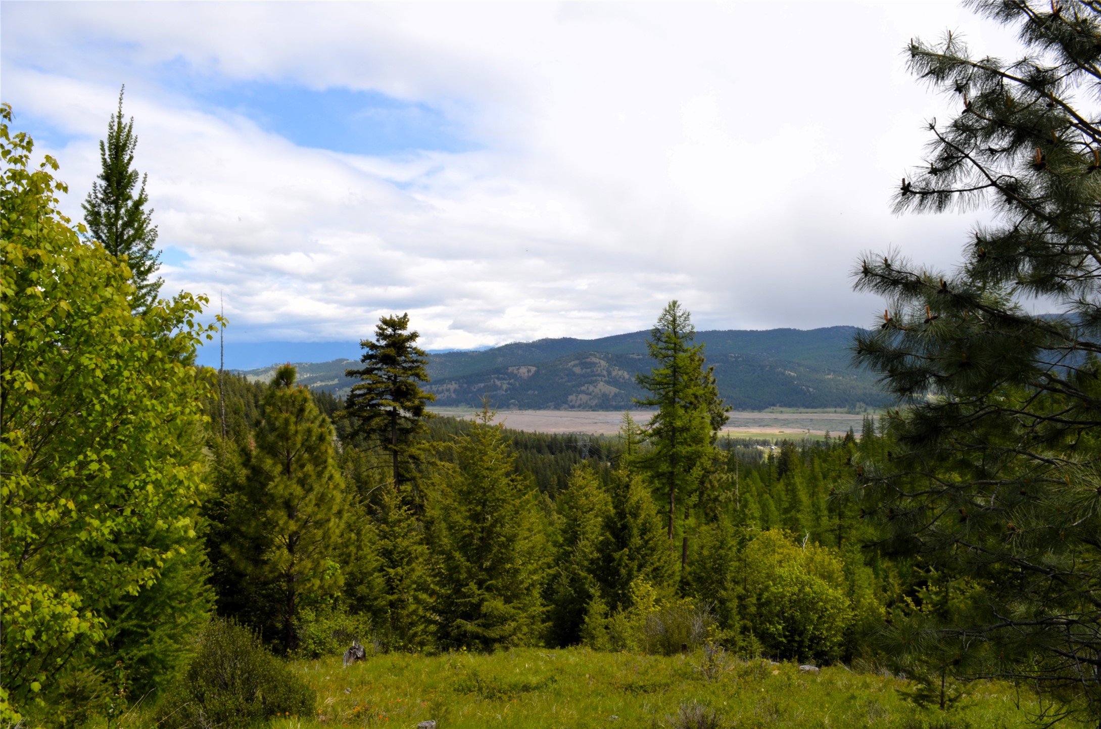 Nhn Bugler Trail Property Photo 49