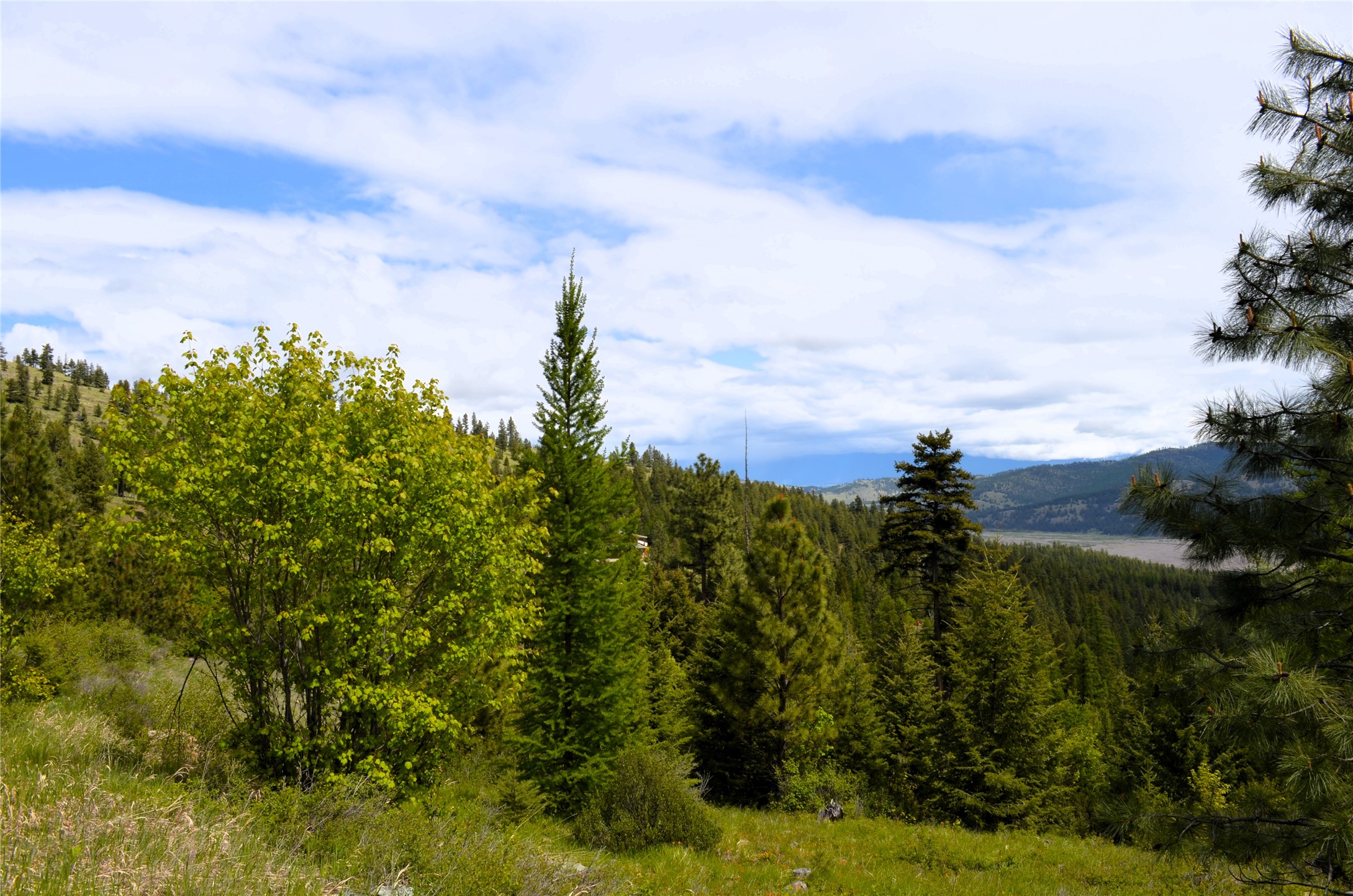 Nhn Bugler Trail Property Photo 50