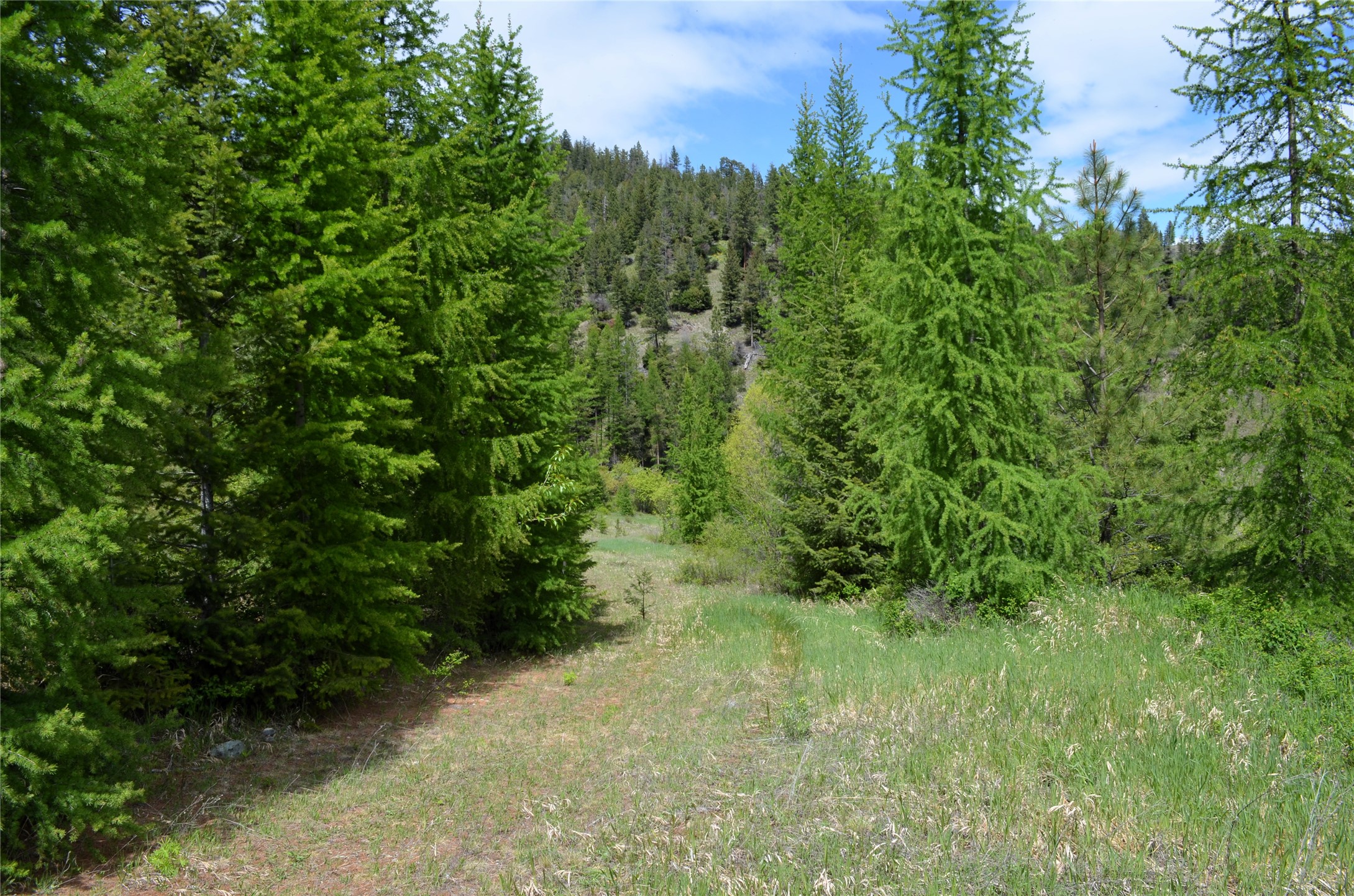 Nhn Bugler Trail Property Photo 51