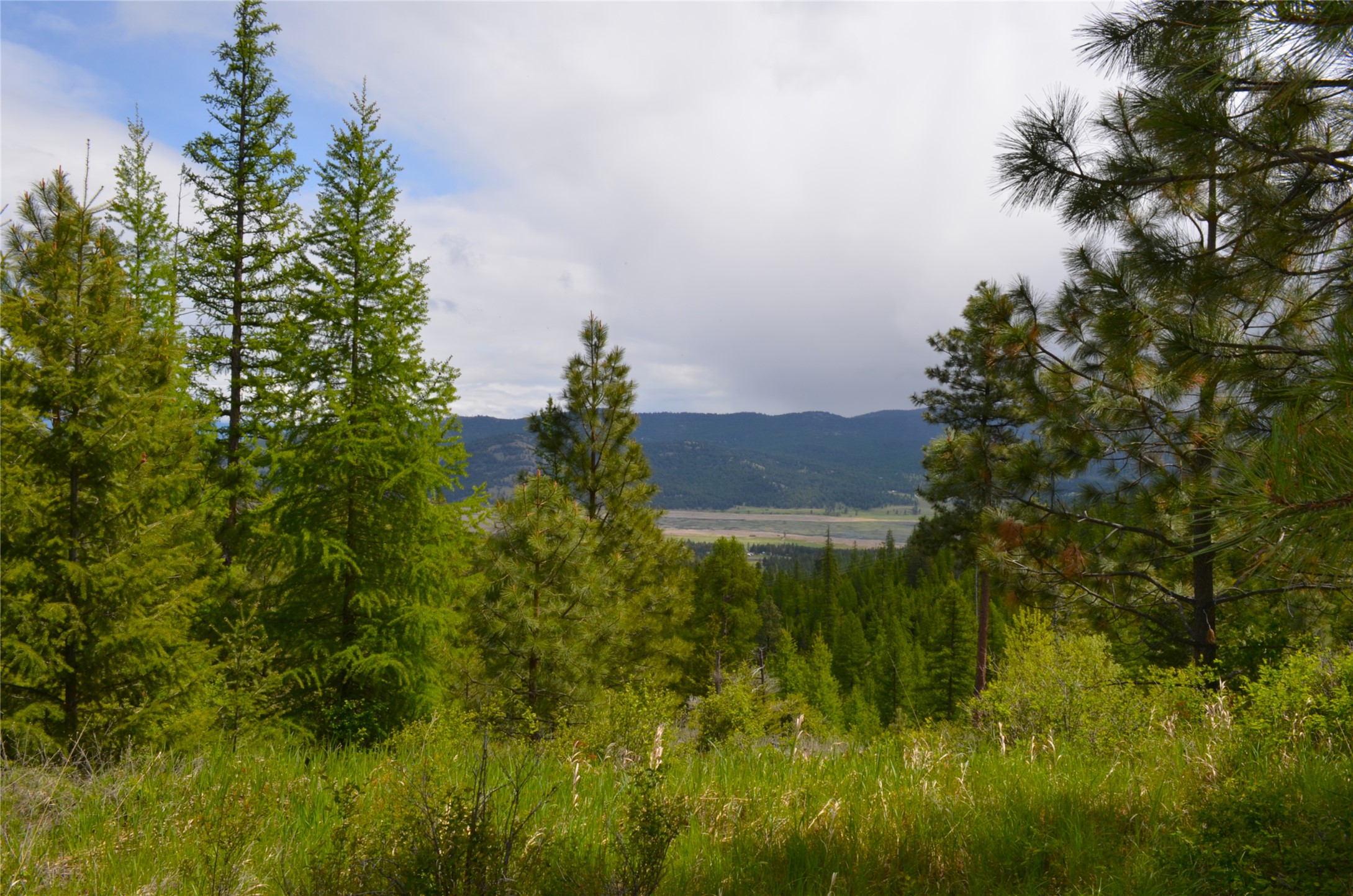 Nhn Bugler Trail Property Photo 52