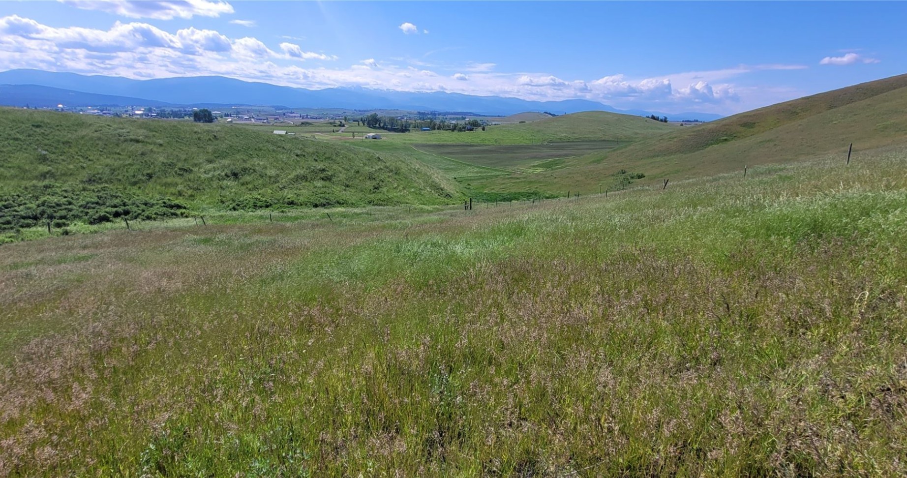 132 Grassy Loop Property Photo 3