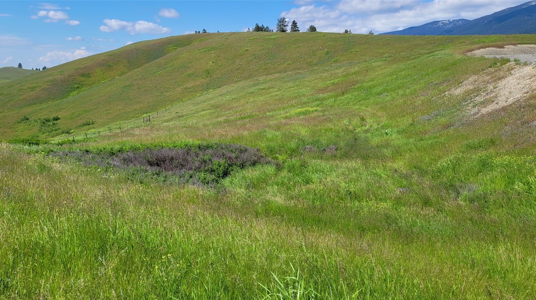 132 Grassy Loop Property Photo 4