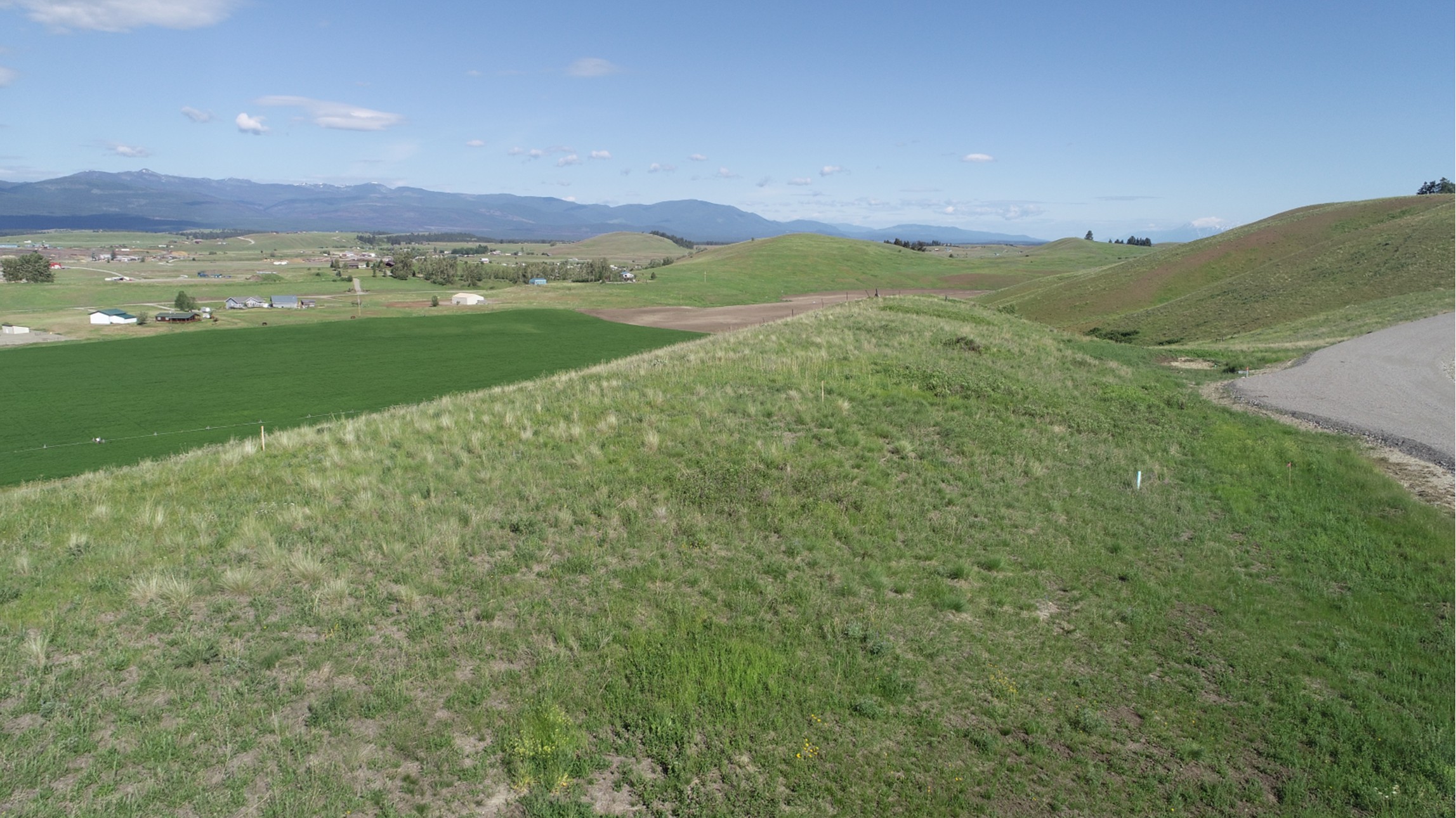 132 Grassy Loop Property Photo 5