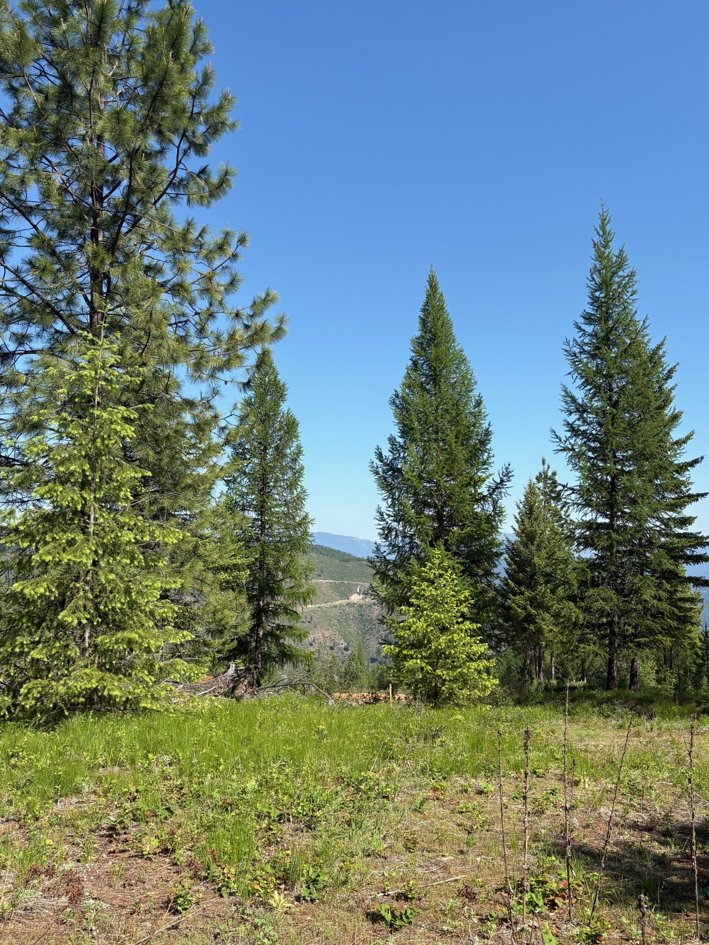 Lot 5 Panoramic View Drive Property Photo 3