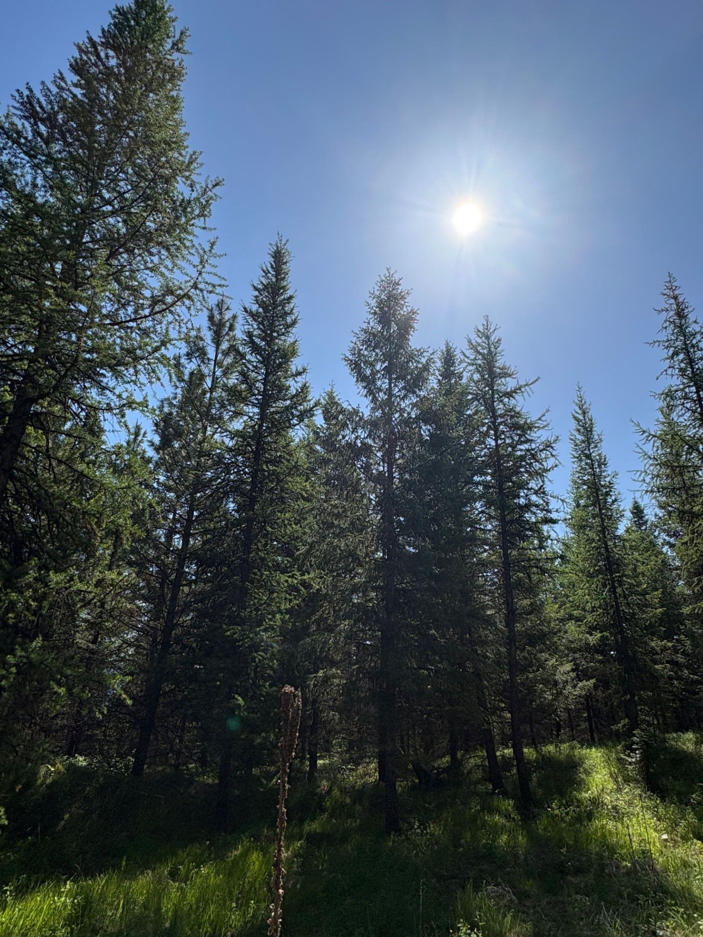 Lot 5 Panoramic View Drive Property Photo 7