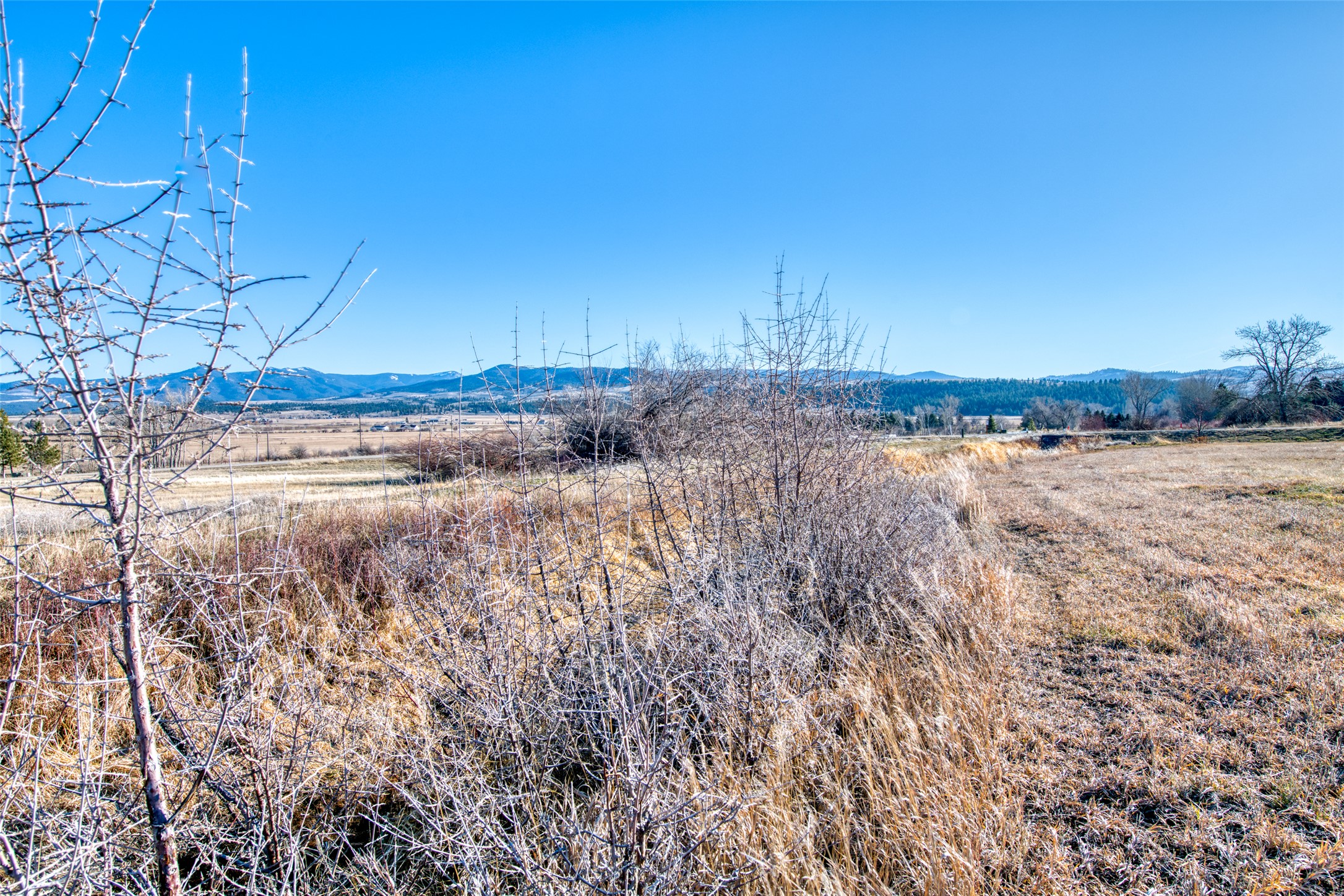 Lot 39 Arrow Hill Ranch Road Property Photo 9