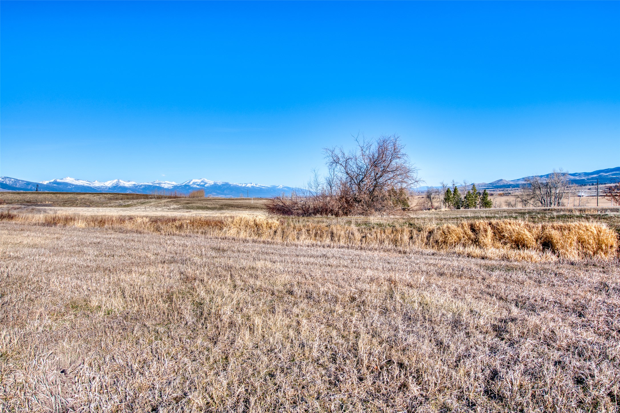 Lot 39 Arrow Hill Ranch Road Property Photo 10