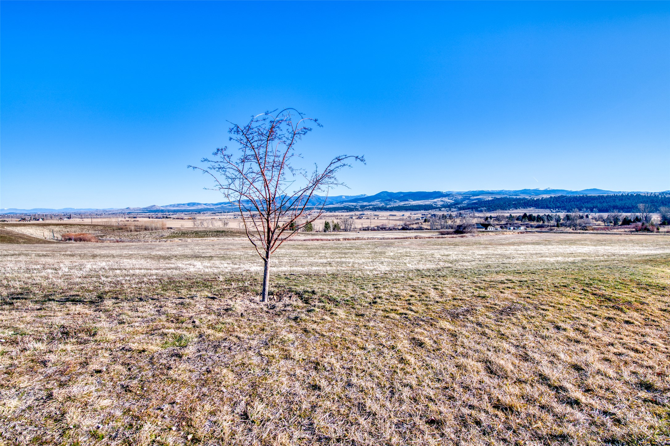 Lot 39 Arrow Hill Ranch Road Property Photo 13