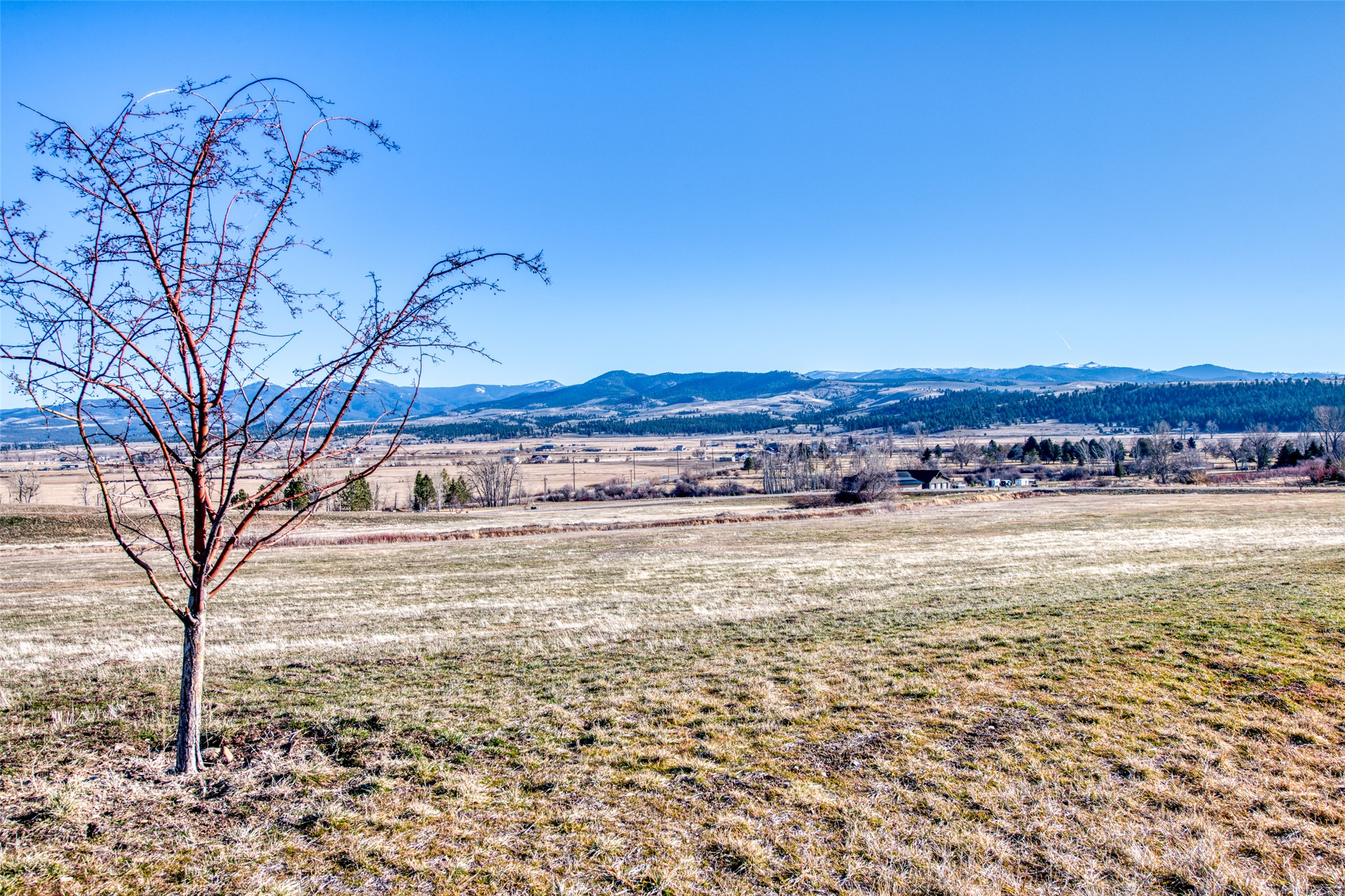 Lot 39 Arrow Hill Ranch Road Property Photo 14