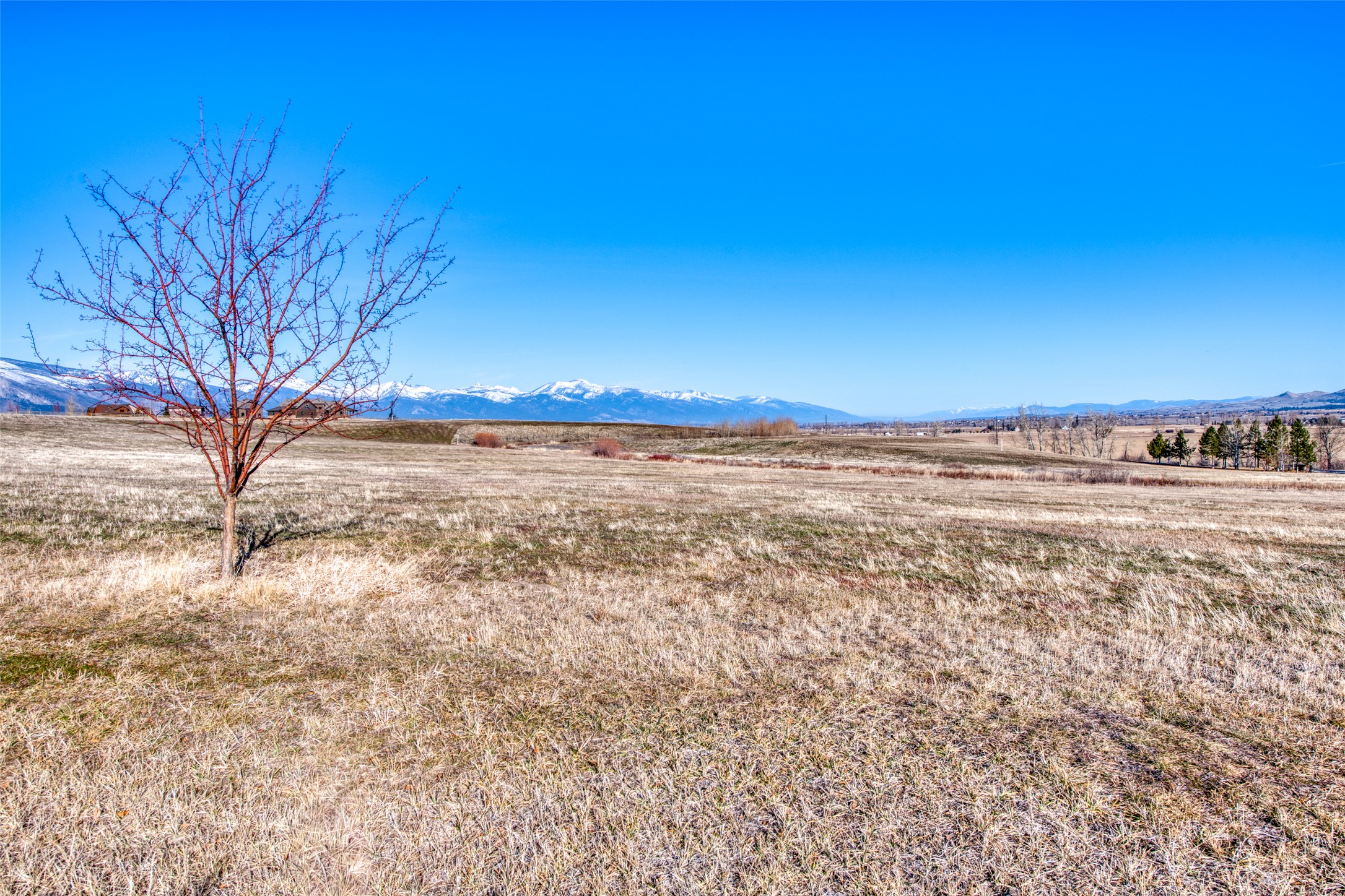 Lot 39 Arrow Hill Ranch Road Property Photo 16