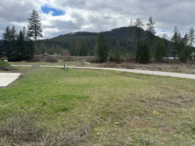 115 Osprey Drive Property Photo 1