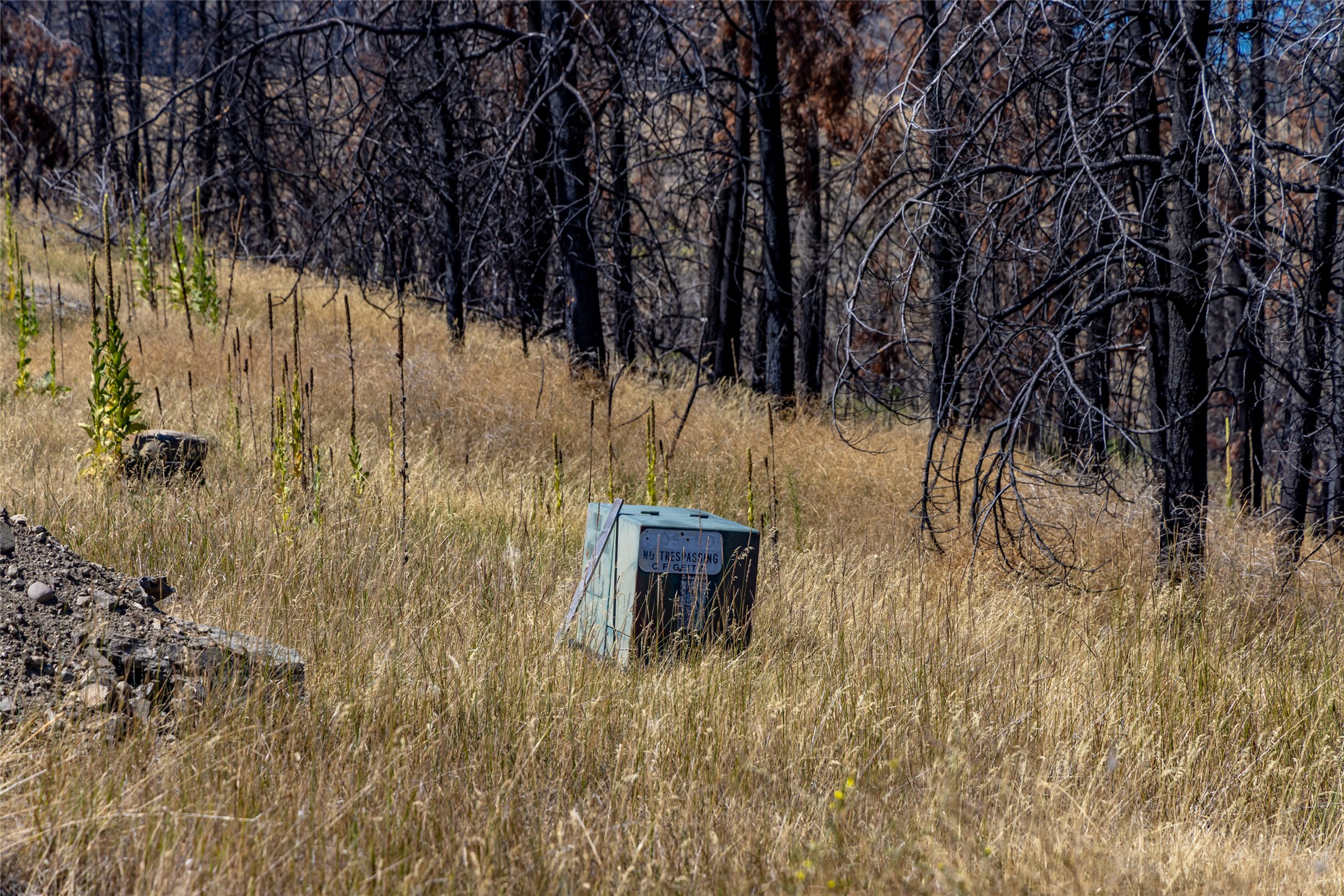 45141 Chief Cliff Lane Property Photo 22