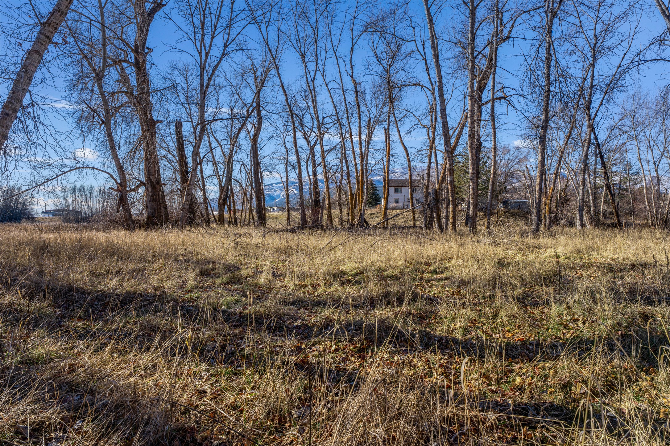 12900 Us Hwy 93 S Property Photo 26