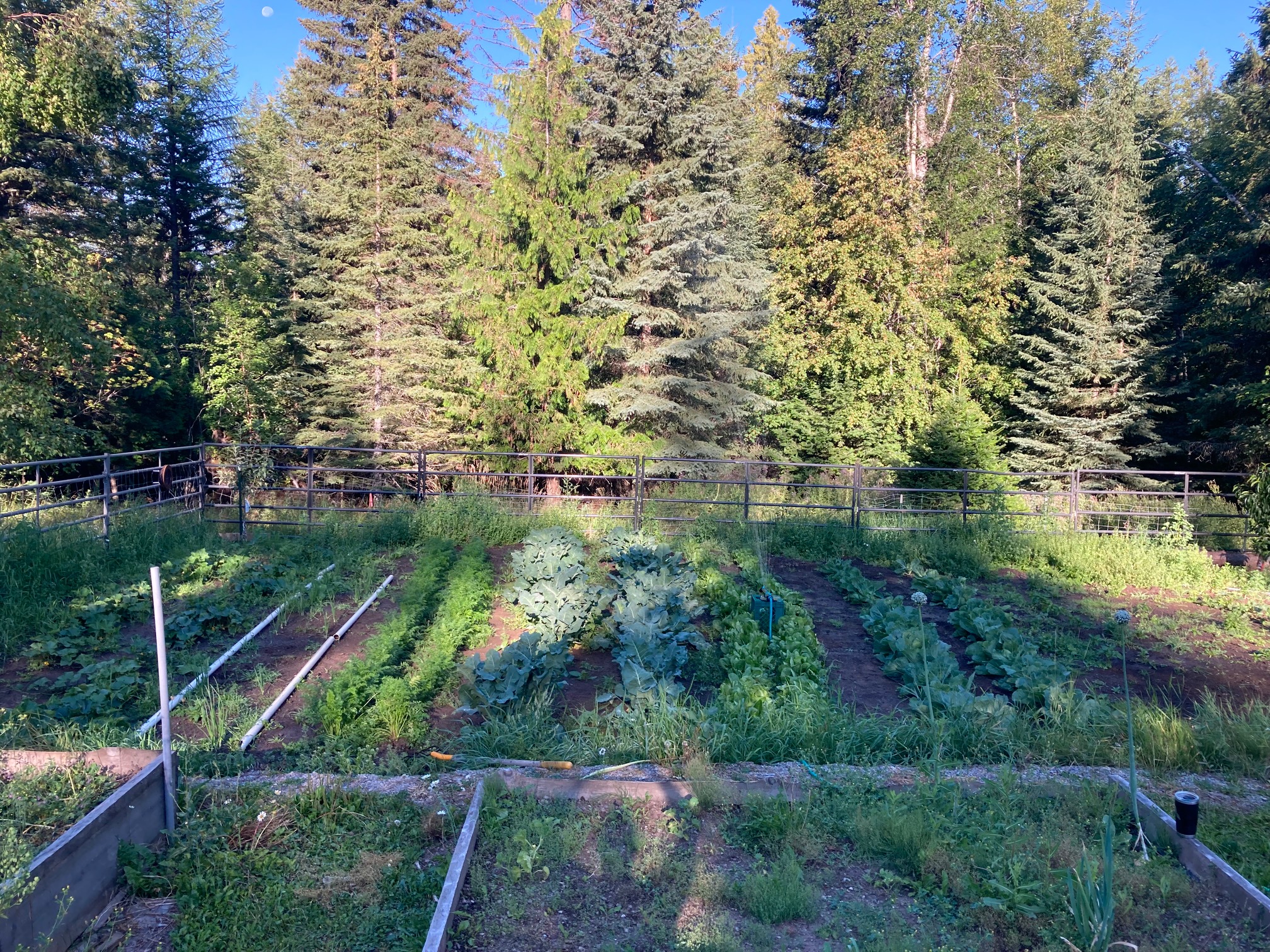 2236 Griffith Creek Road Property Photo 76