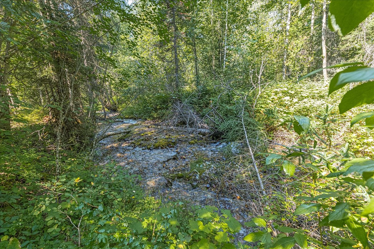 2236 Griffith Creek Road Property Photo 81