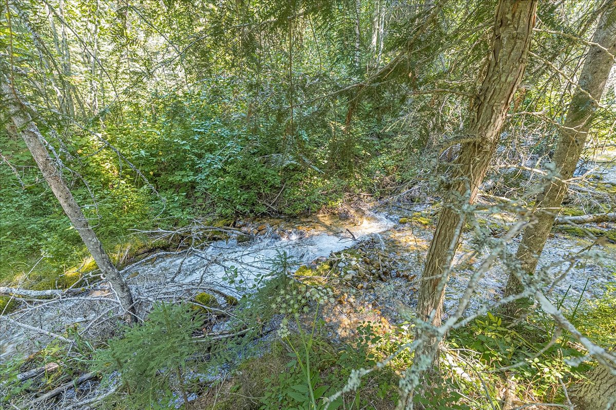 2236 Griffith Creek Road Property Photo 82