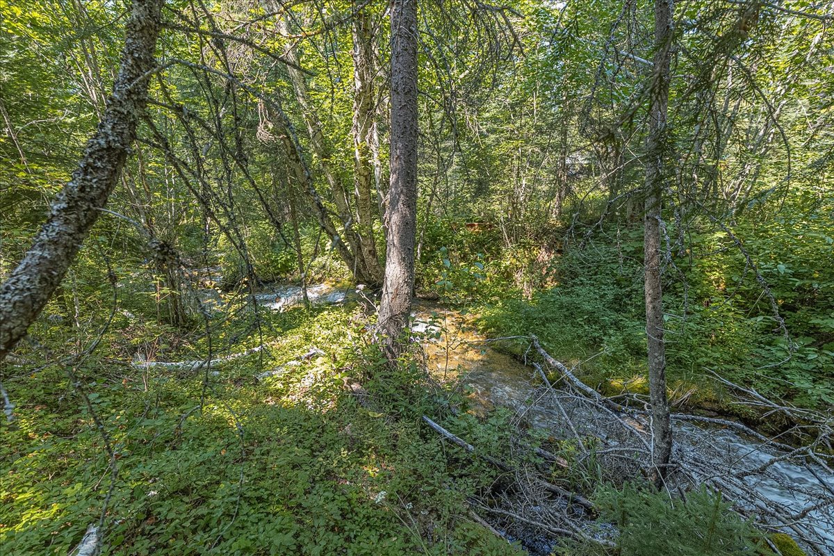 2236 Griffith Creek Road Property Photo 83