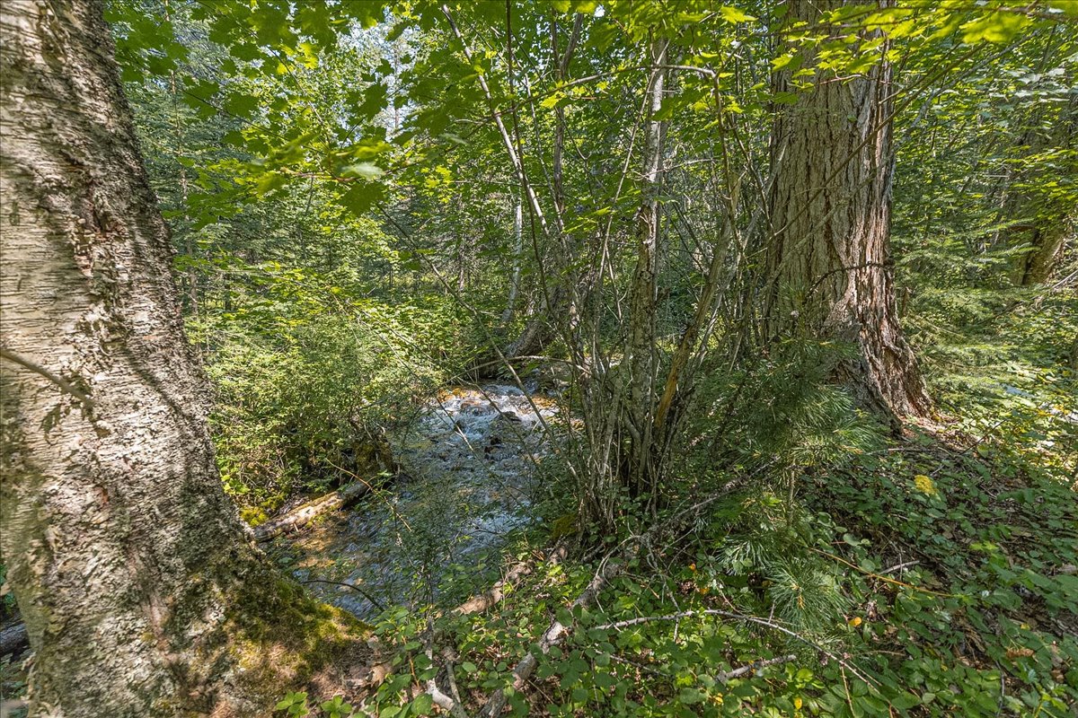 2236 Griffith Creek Road Property Photo 85