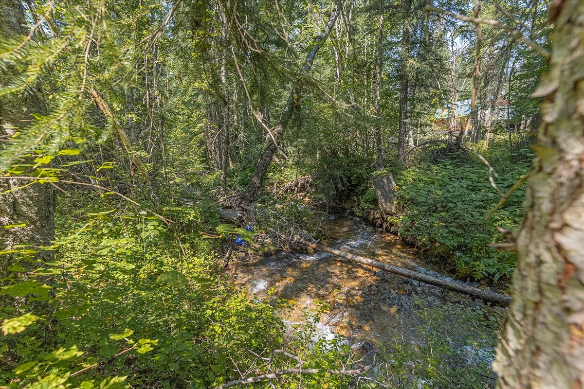 2236 Griffith Creek Road Property Photo 86
