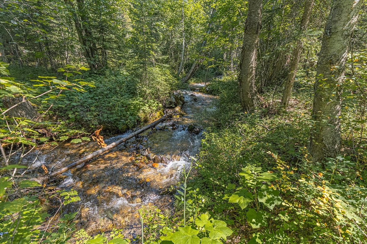 2236 Griffith Creek Road Property Photo 87
