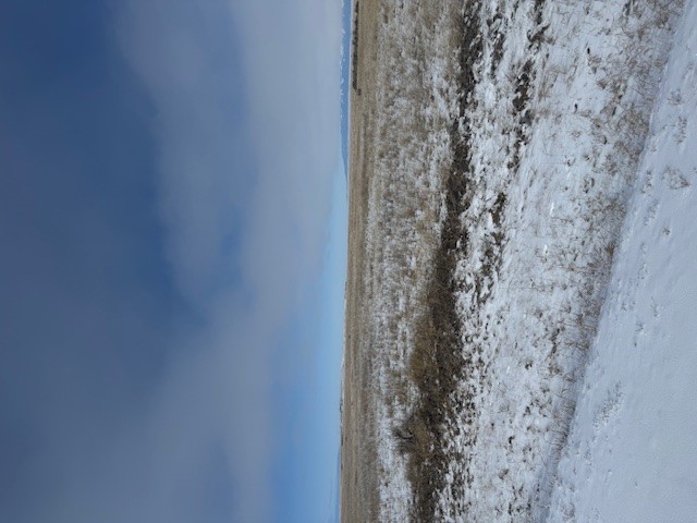 Nhn Antelope Road Property Photo 1